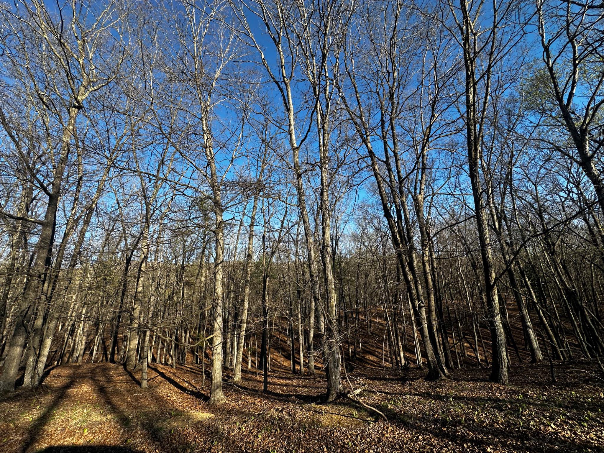 THE CROSSING AT GREAT CACAPON - Land