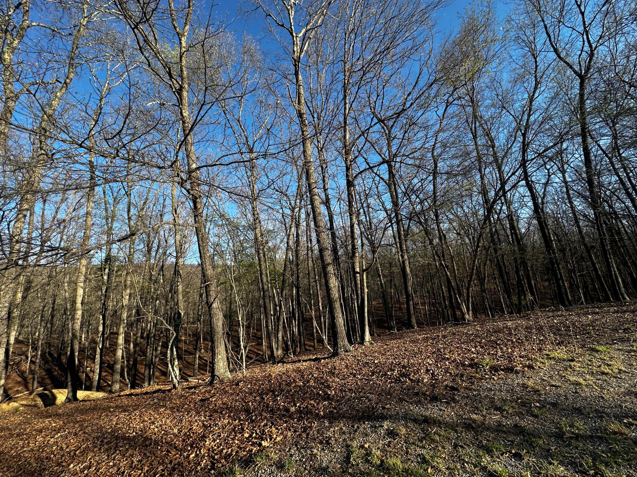 THE CROSSING AT GREAT CACAPON - Land