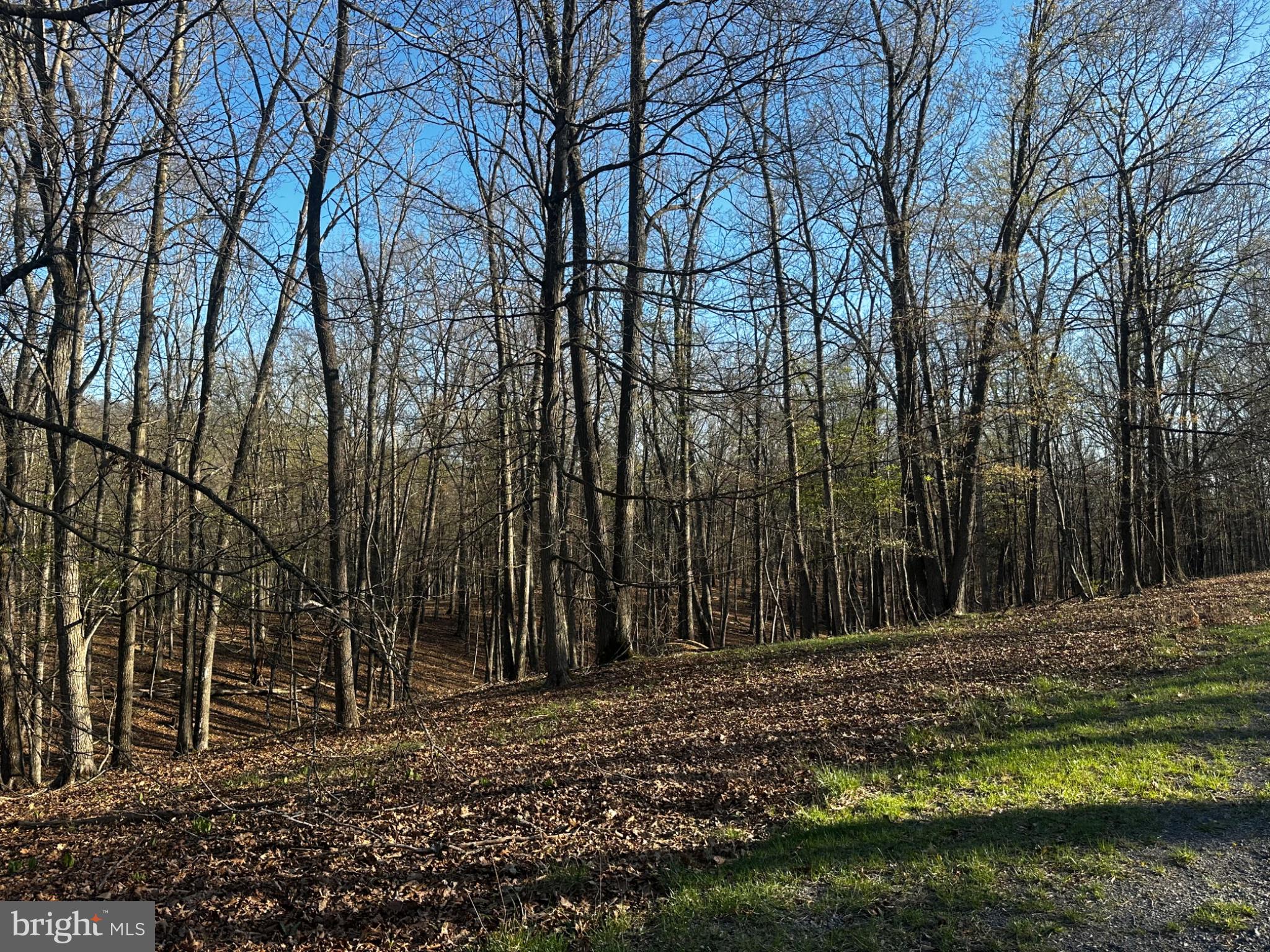 THE CROSSING AT GREAT CACAPON - Land