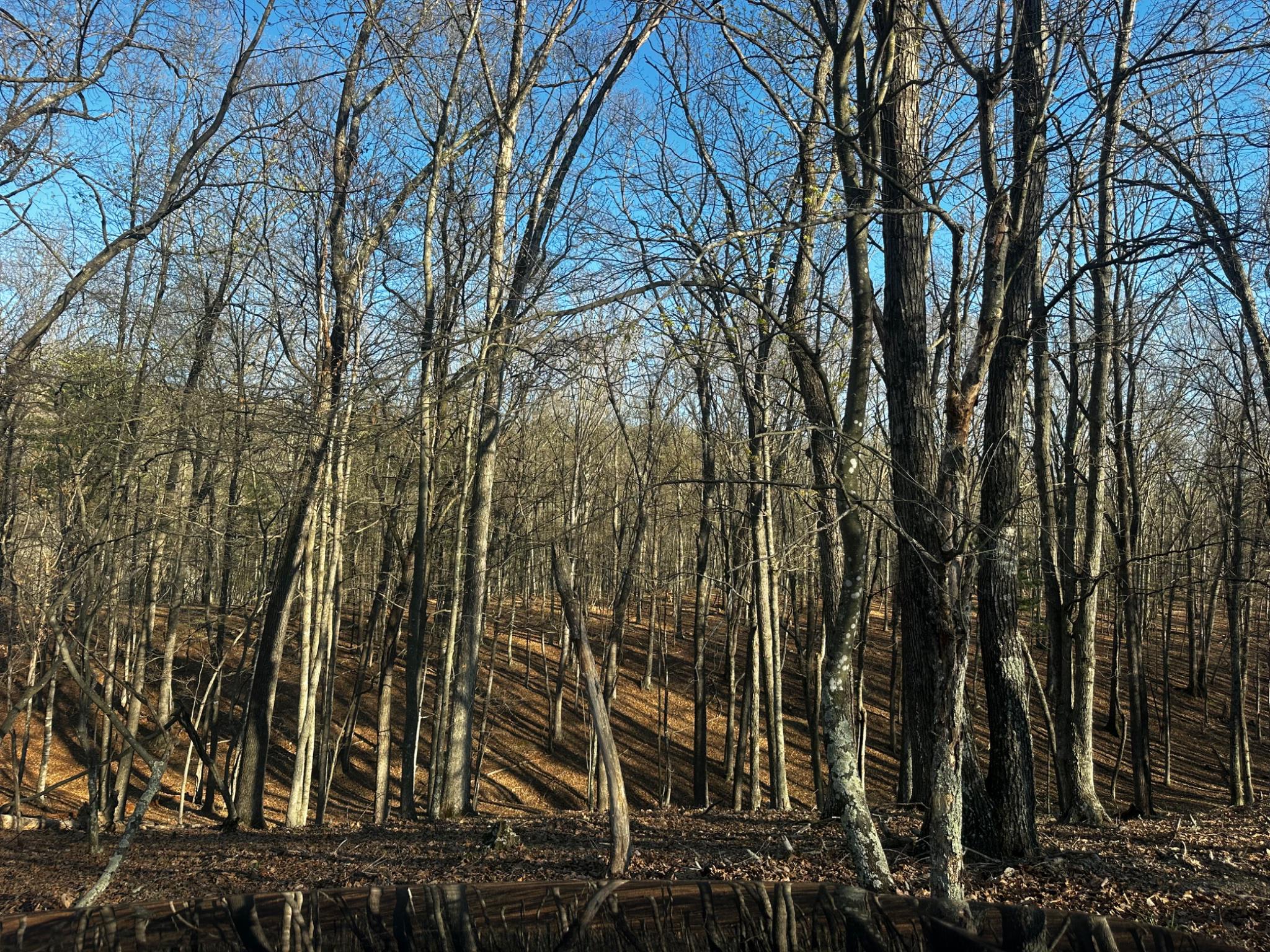 THE CROSSING AT GREAT CACAPON - Land
