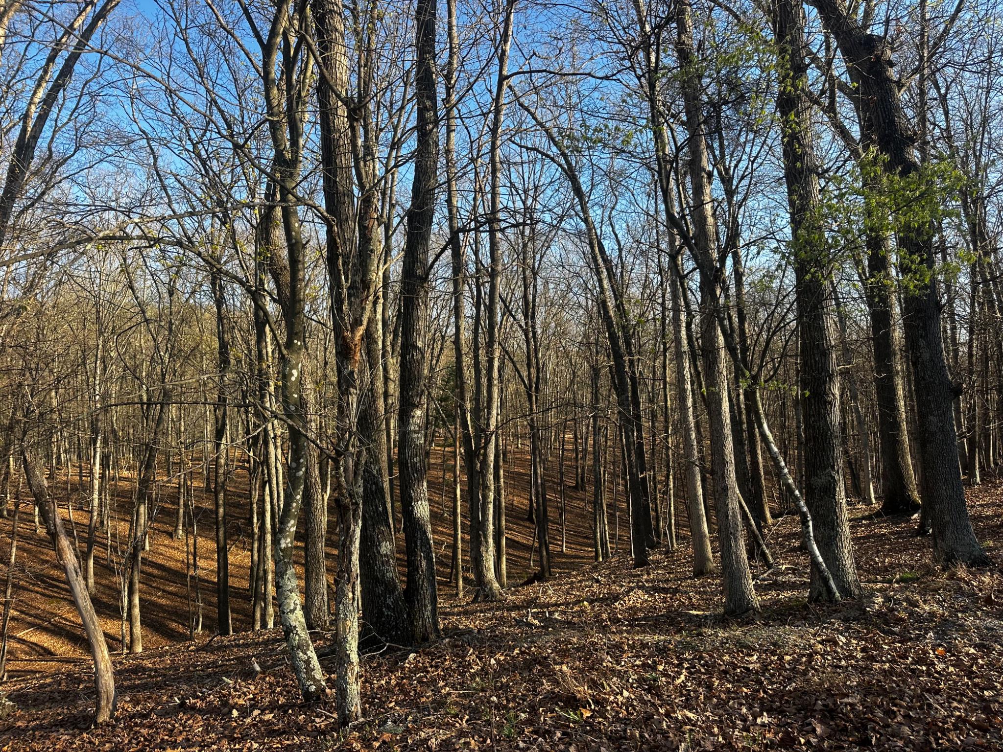 THE CROSSING AT GREAT CACAPON - Land