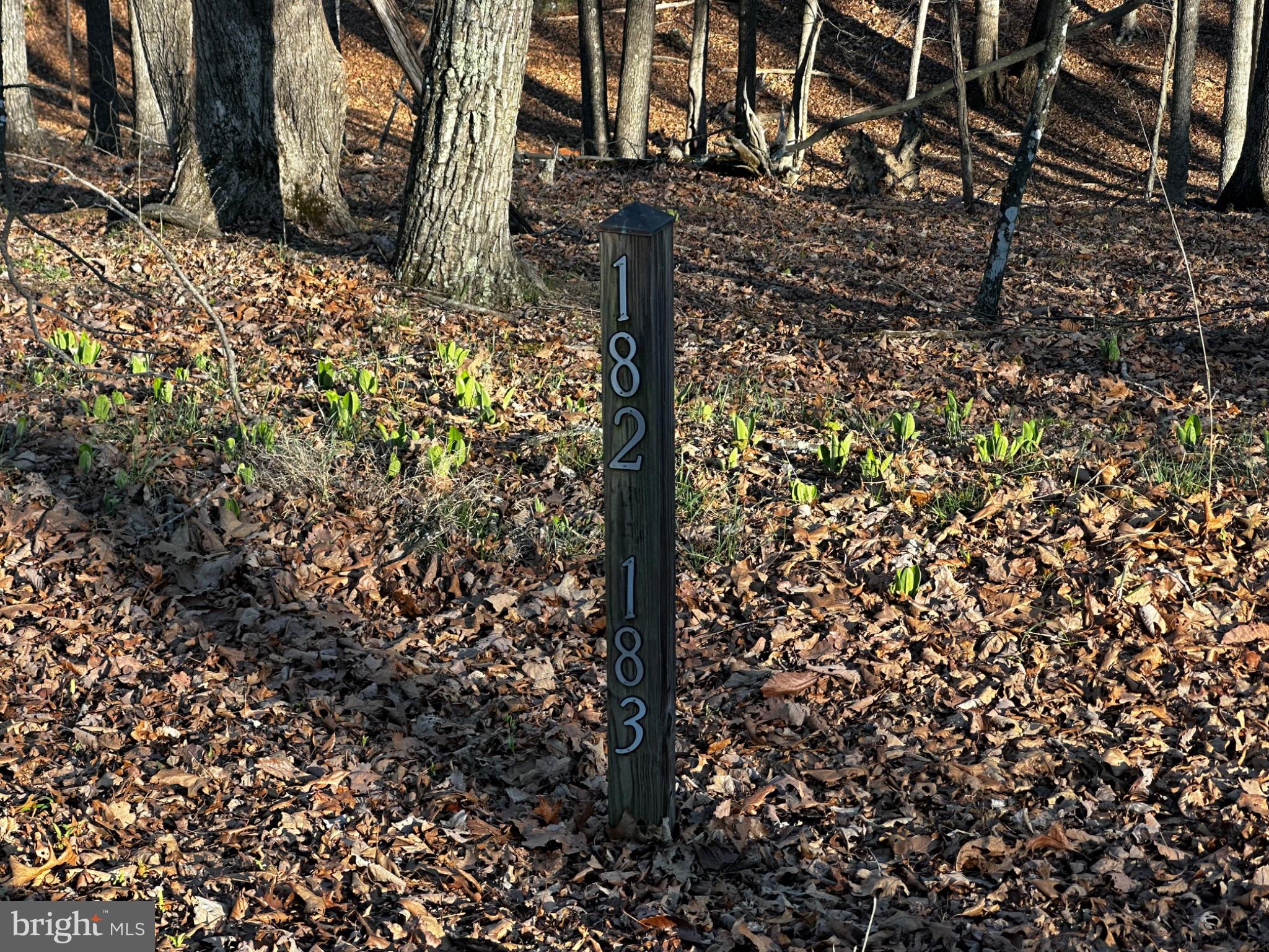 THE CROSSING AT GREAT CACAPON - Land