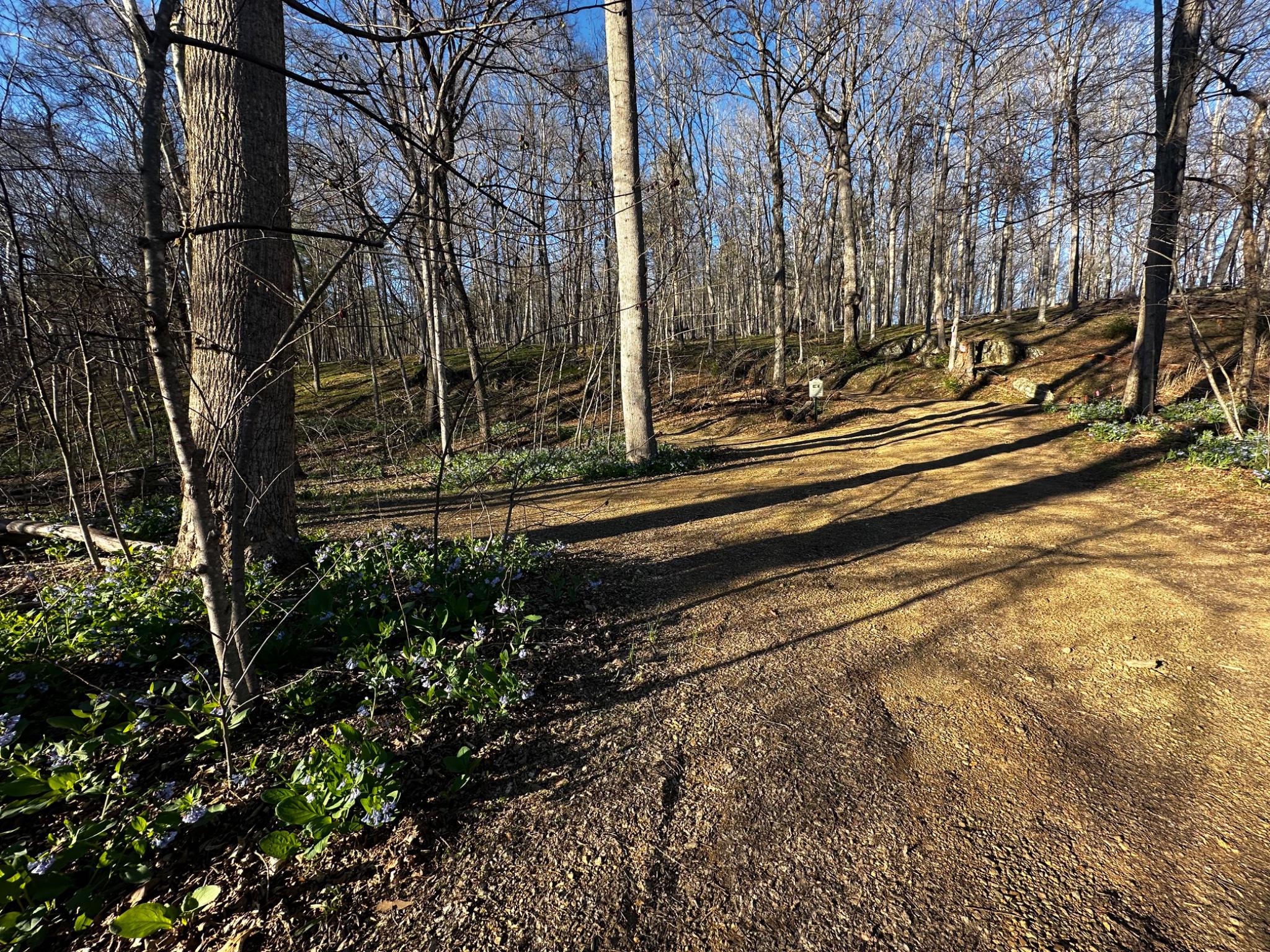 THE CROSSING AT GREAT CACAPON - Land