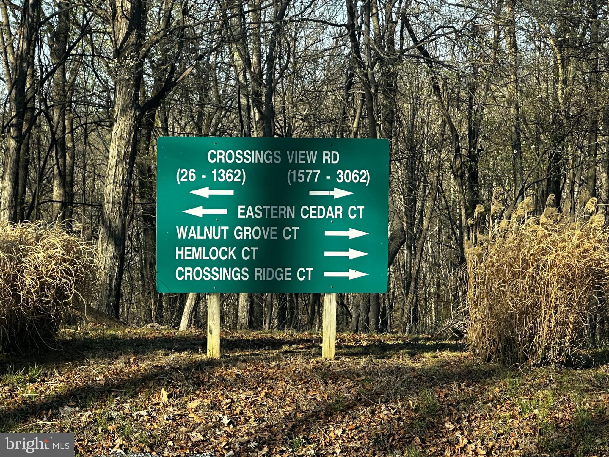 THE CROSSING AT GREAT CACAPON - Land