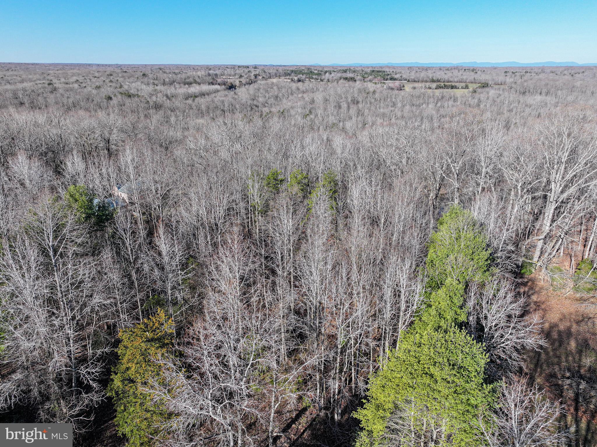 RIVER RIDGE ESTATES - Land