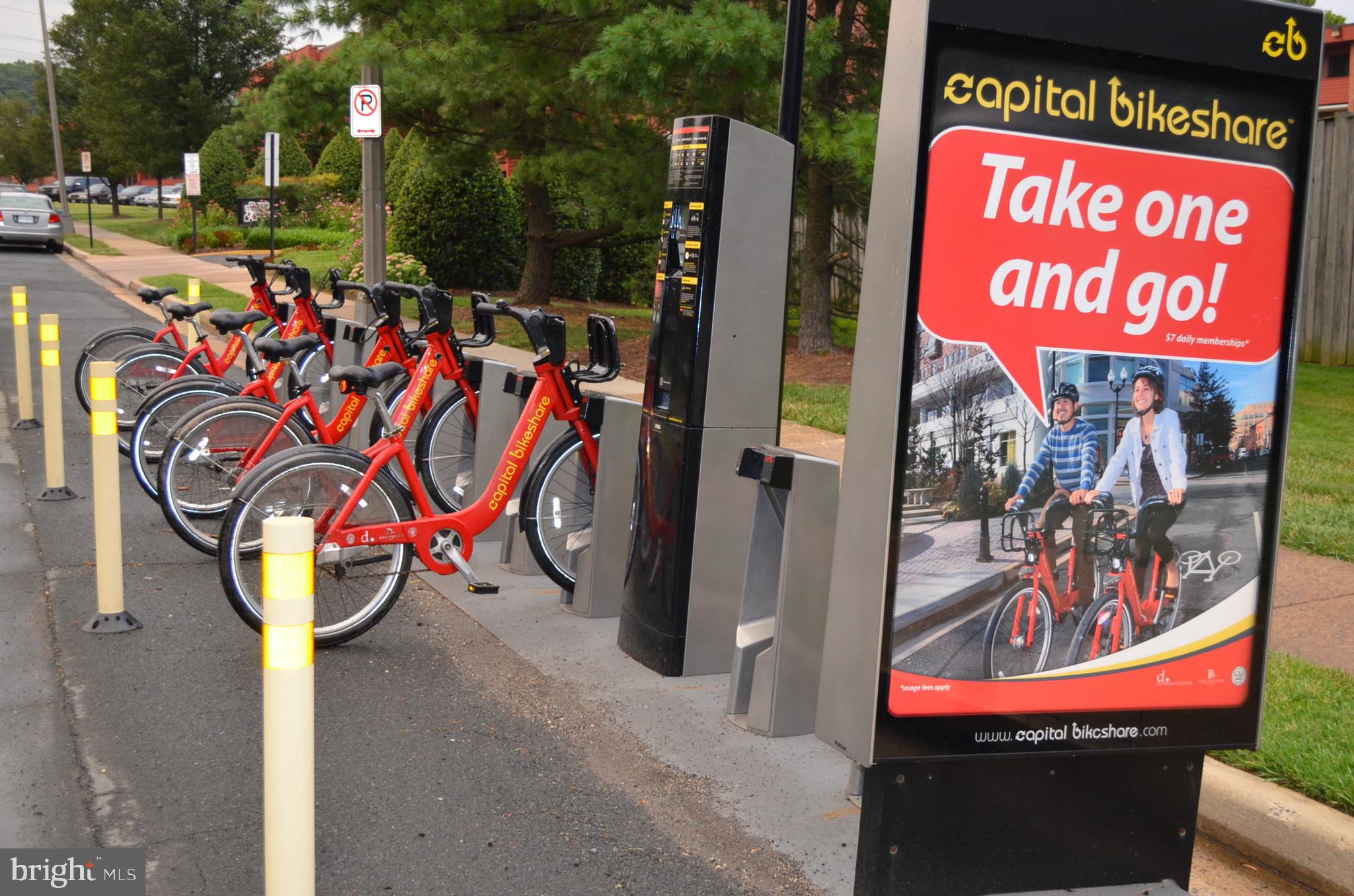 THE PALAZZO - Residential