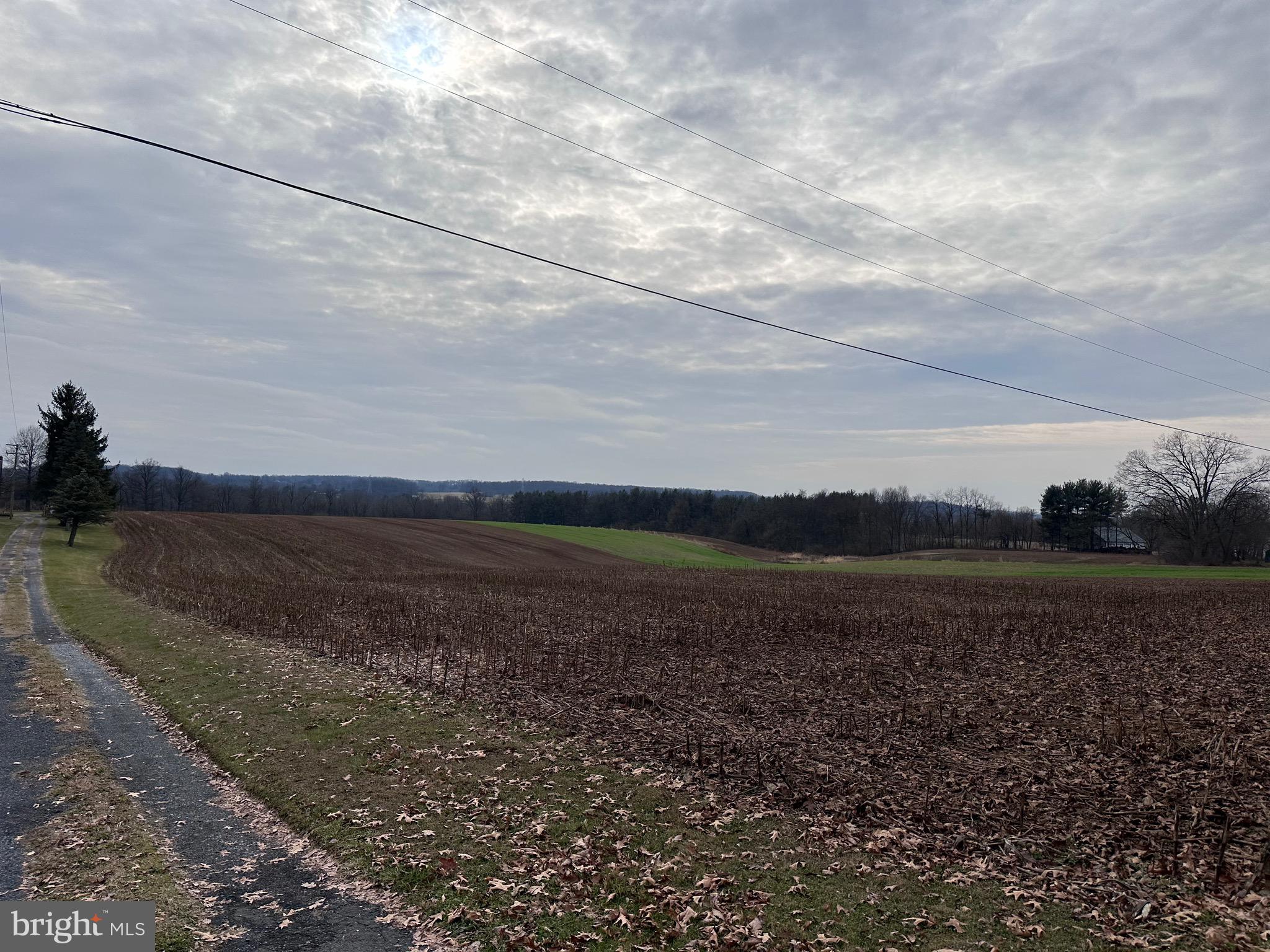 NONE AVAILABLE - Farm