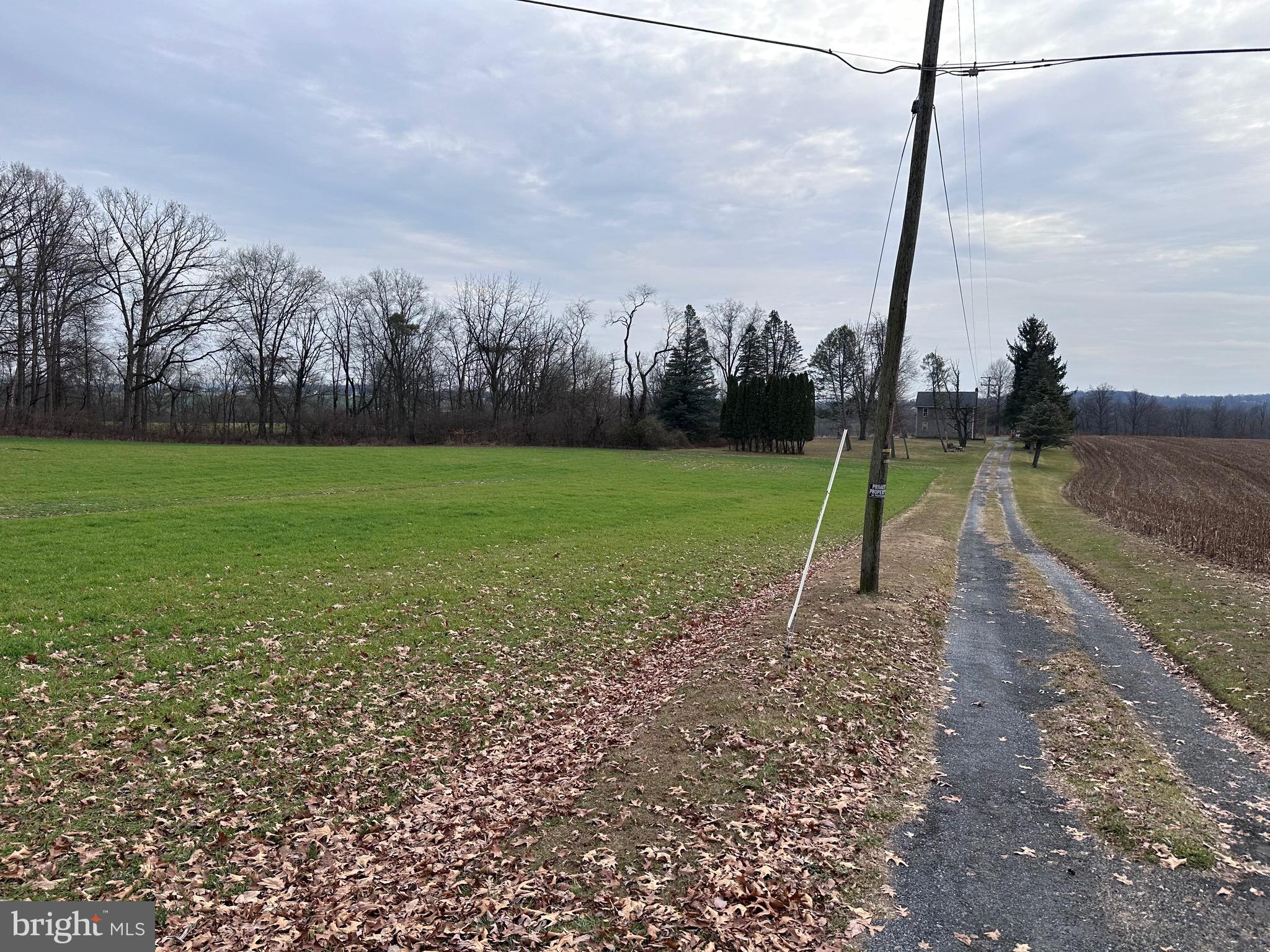 NONE AVAILABLE - Farm