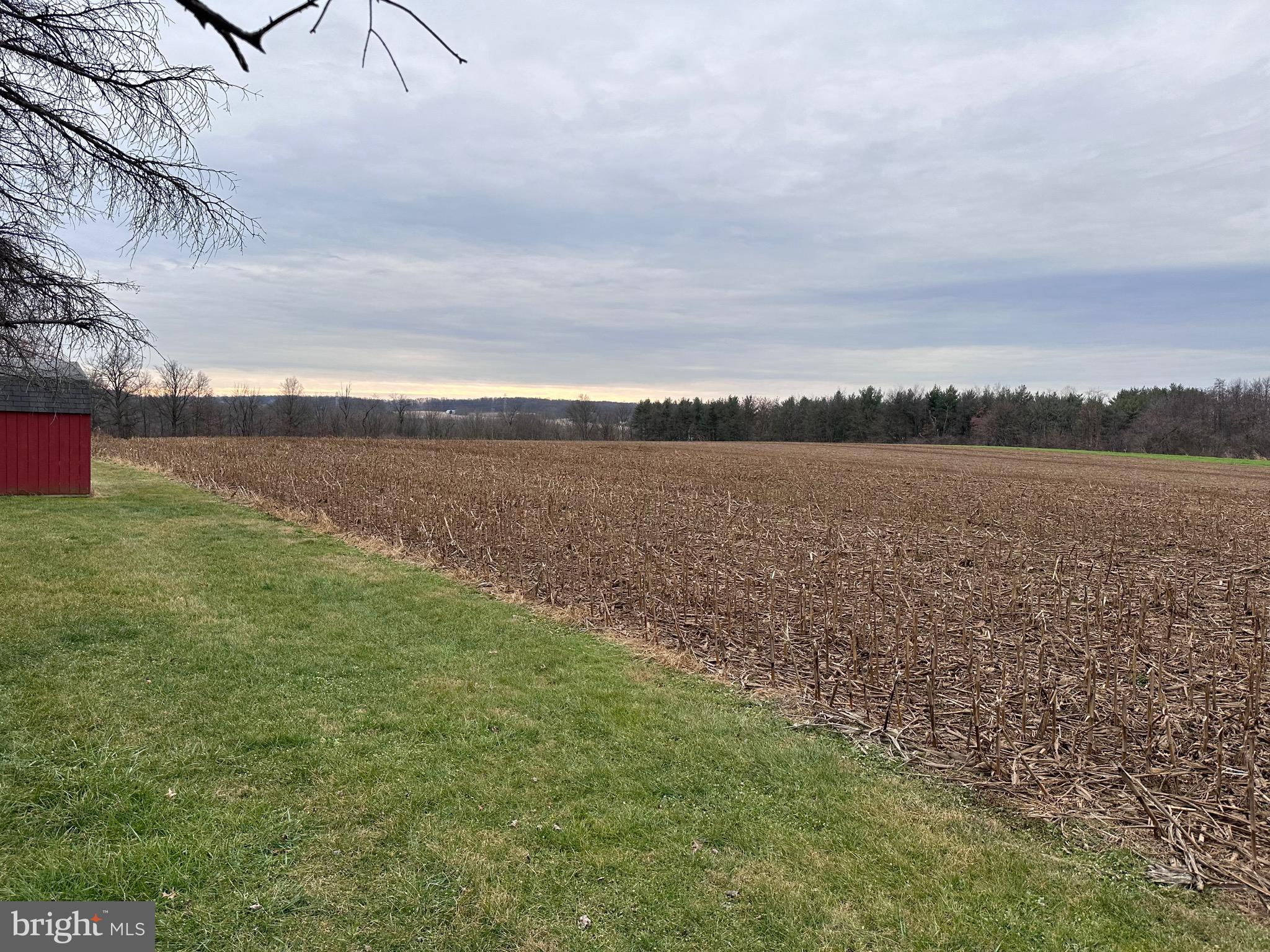NONE AVAILABLE - Farm