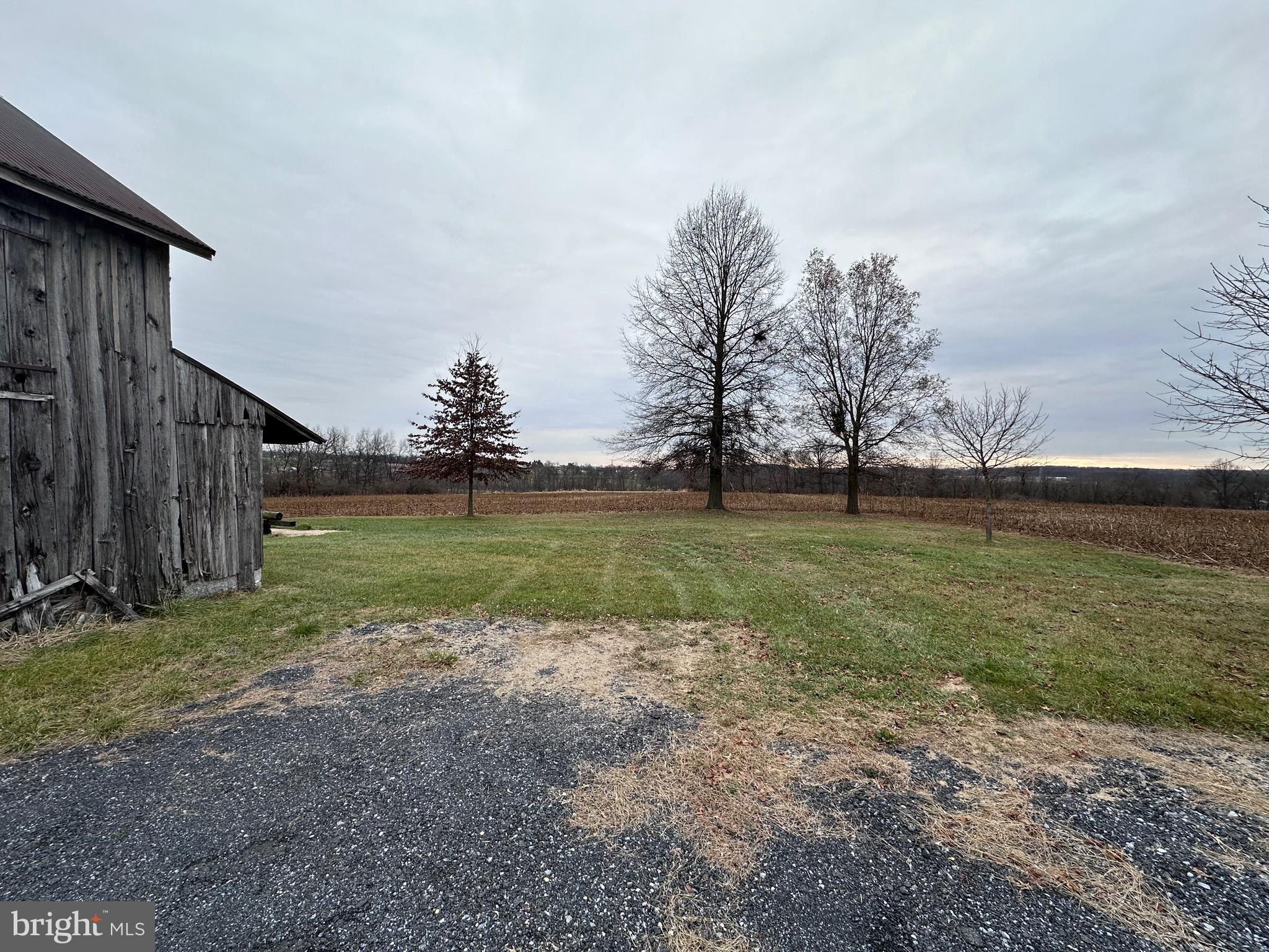 NONE AVAILABLE - Farm