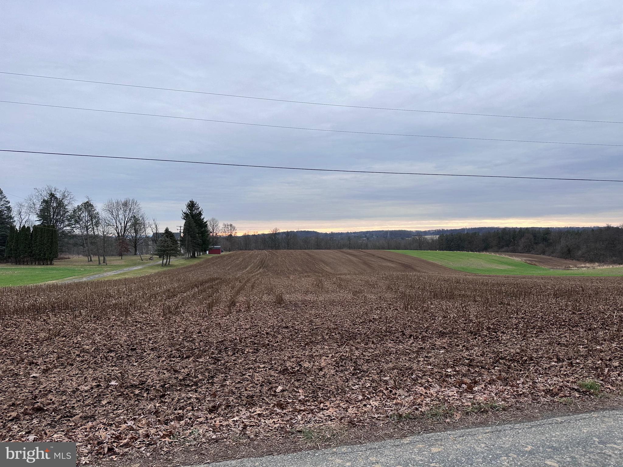 NONE AVAILABLE - Farm