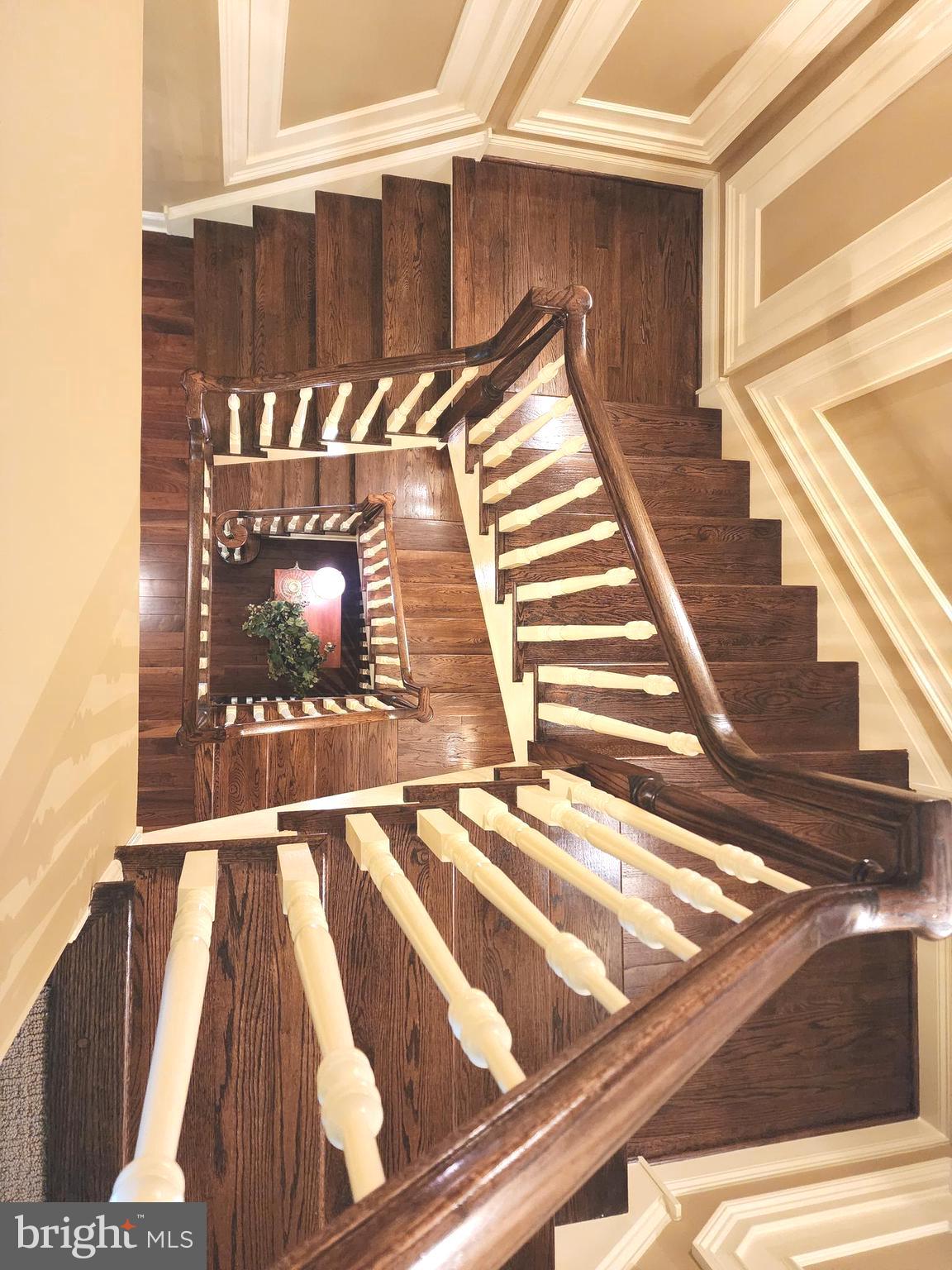 NEWTOWN WALK - Residential