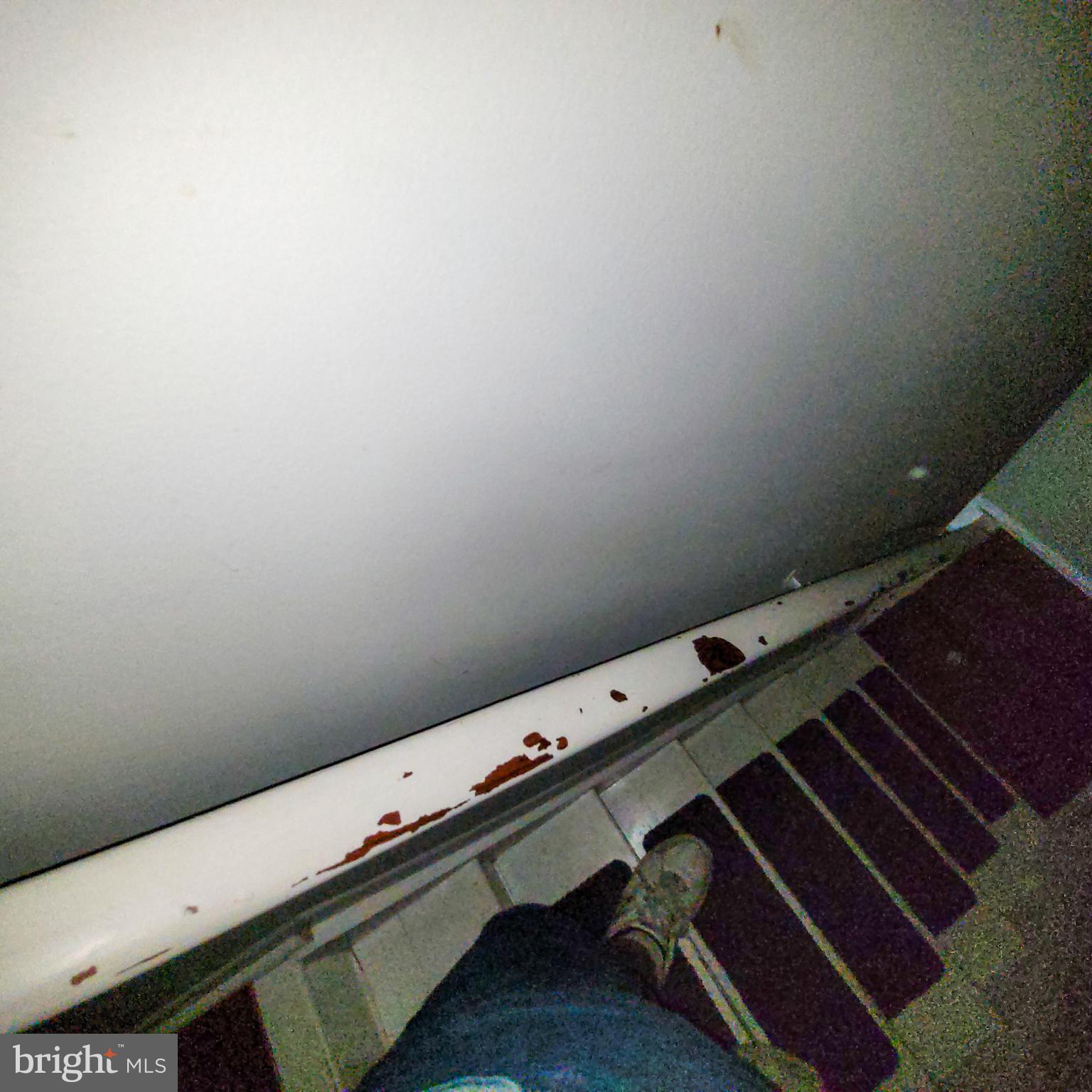 HARFORD SQUARE - Residential