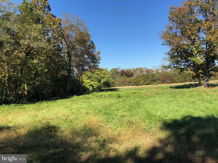 Four private and peaceful buildable lots sold all together (Lots 5 & 6 on Glendale and lots 8 & 9 on Windsor Ave) in the town of historic Centreville. Public water and sewer available.
