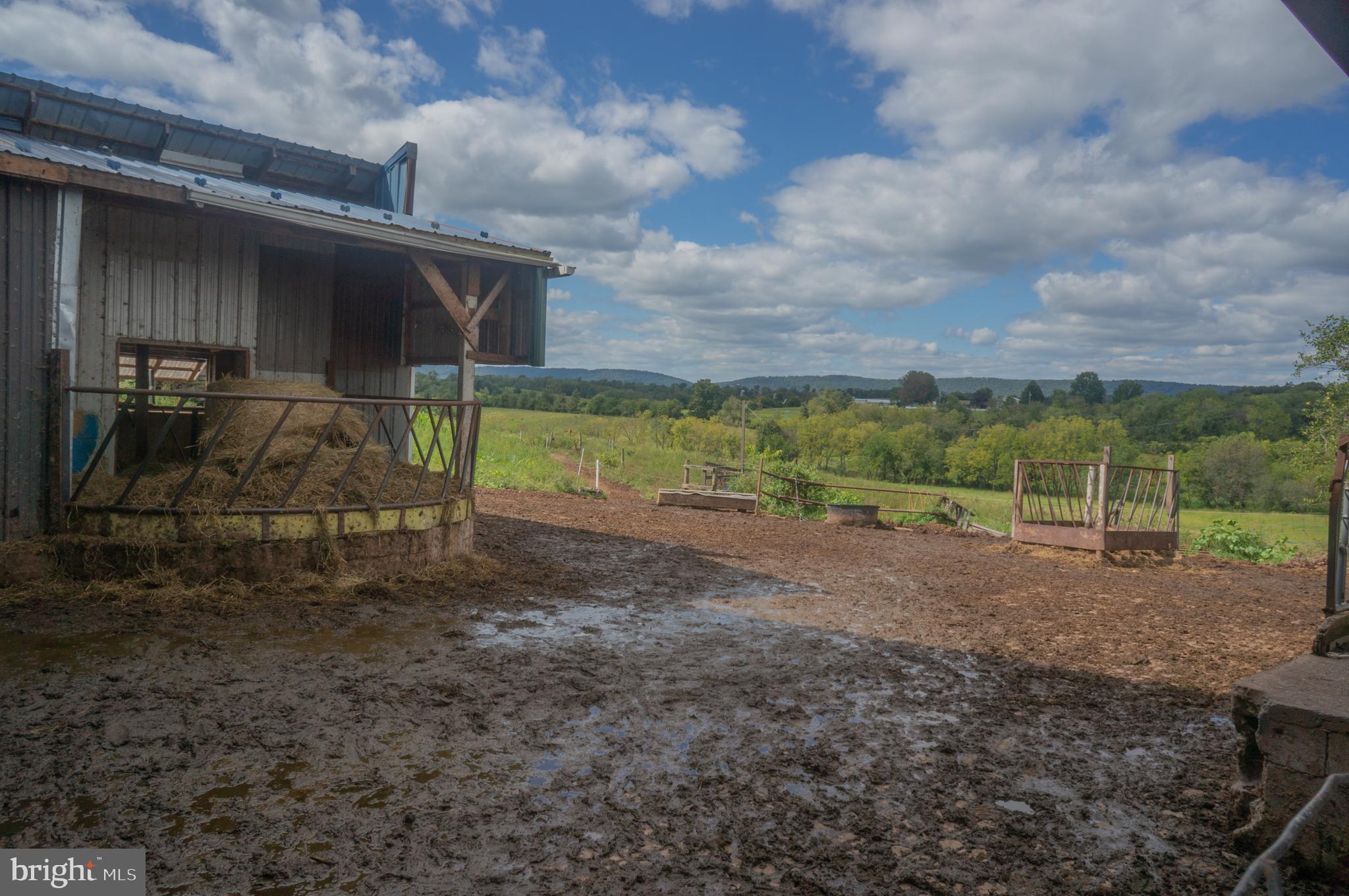 NONE AVAILABLE - Farm