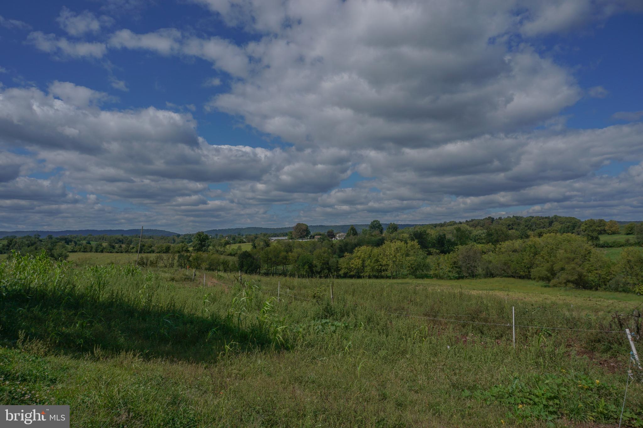 NONE AVAILABLE - Farm