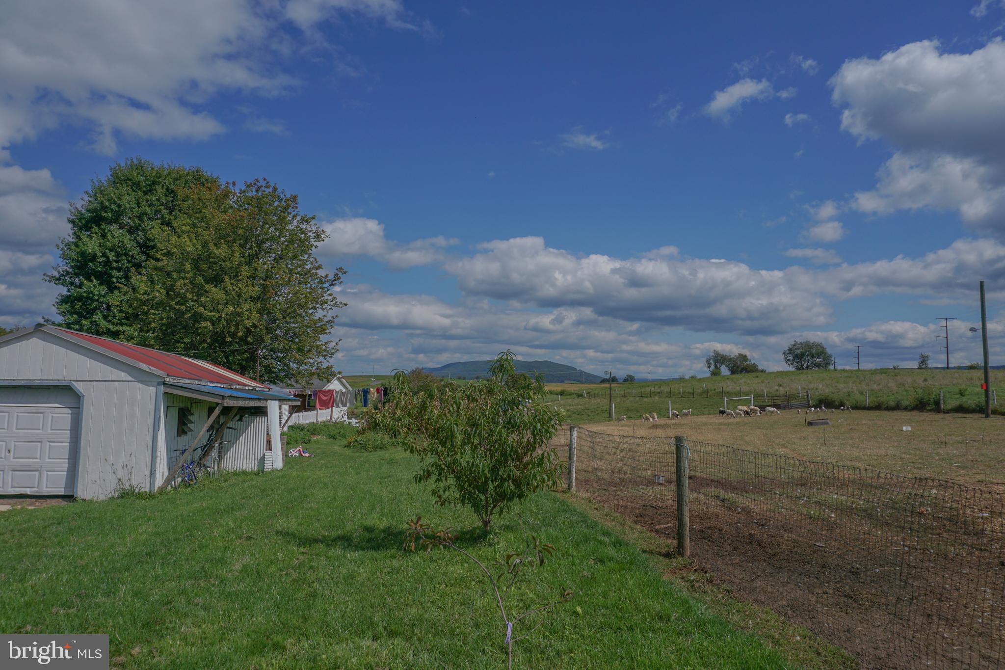 NONE AVAILABLE - Farm