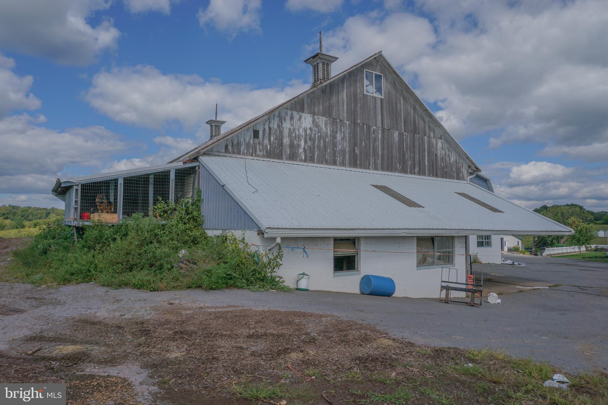 NONE AVAILABLE - Farm