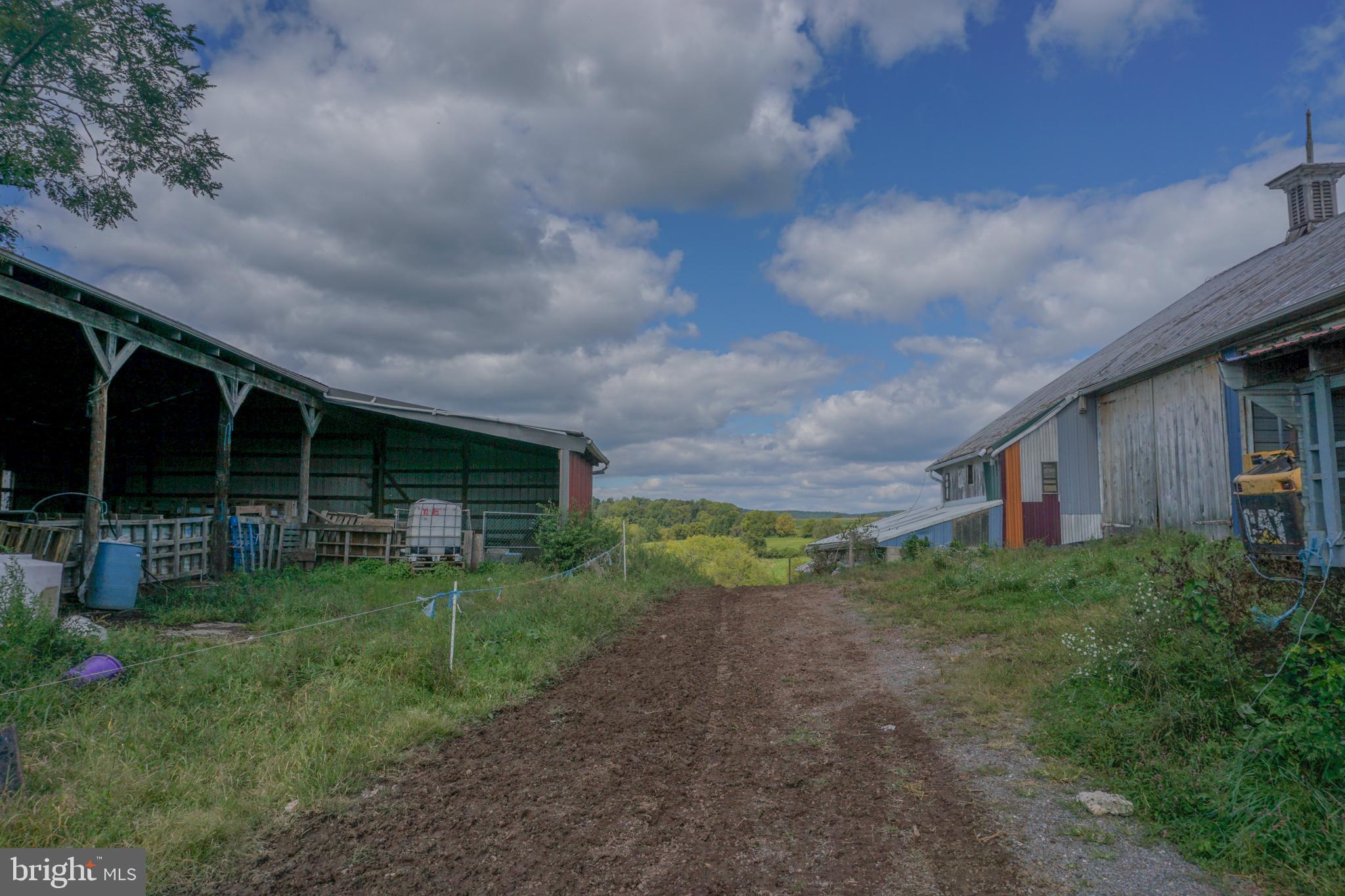 NONE AVAILABLE - Farm