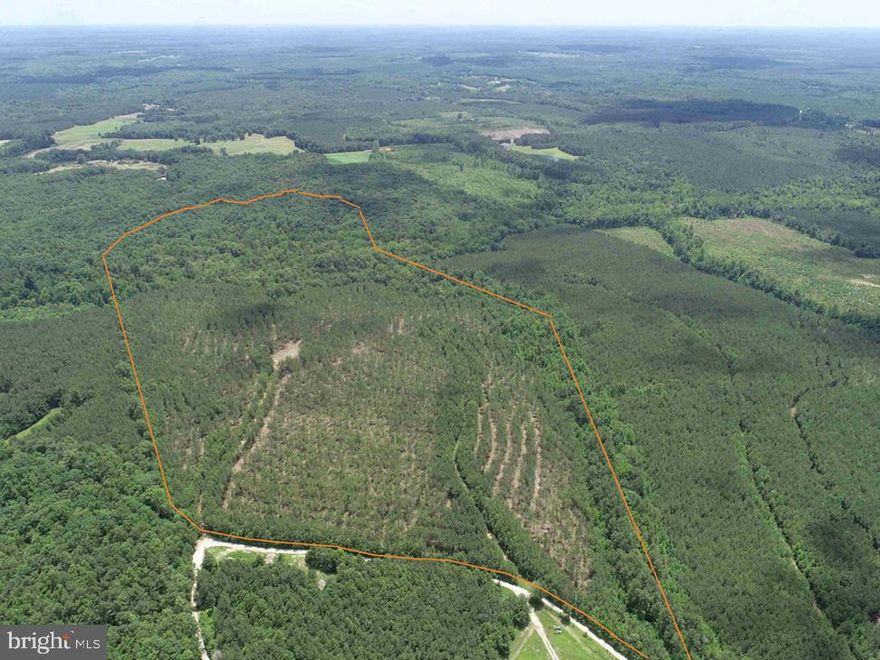 The BK3233-2 Tract is 89.37 acres located West of Green Bay approximately 3.6 miles from Hwy. 360.  This tract lays rolling with 1,580' of frontage on Twin Bridge Road (Rt. 623) and the Nottoway River on the southern boundary line.  The timber consists of 55.64 acres of 2009 planted Loblolly pine, and 31.53 acres of mature hardwoods.  The BK3233-2 Tract is an excellent timber investment and would make a nice homestead or a small farm. This property will need to be surveyed and approved by the county before closing.  

Disclaimer: Property inspections shall be done during daylight hours. Seller and Advance Land and Timber, LLC in no way make any representations or warranties regarding the conditions of the property, including any and all access routes, and all persons entering upon the property do so at their own risk and accept said property as-is in its existing condition during such inspections. All persons entering upon the property assume all risks and liabilities and agree to indemnify, defend, and hold harmless Seller, its affiliates, officers, directors, managers, agents, representatives and employees from and against any and all claims, demands, causes of action, injuries (including death) and damages resulting from any accident, incident, or occurrence arising out of, incidental to or in any way resulting from his or her inspection of the property or his or her exposure to the conditions of the property.