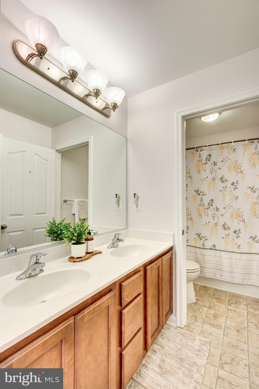 GREENVALE MEWS - Residential