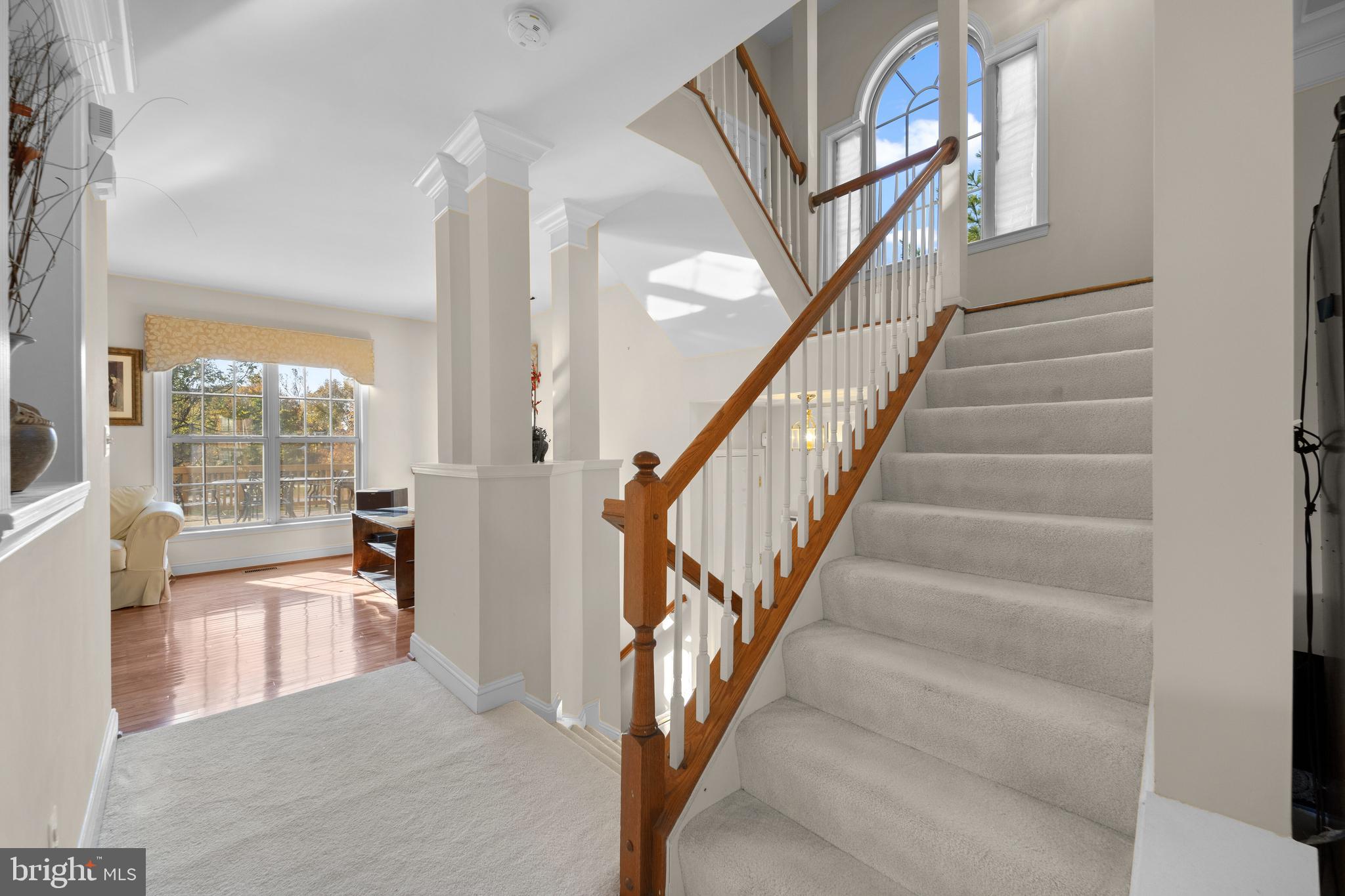 WOODMORE - Residential