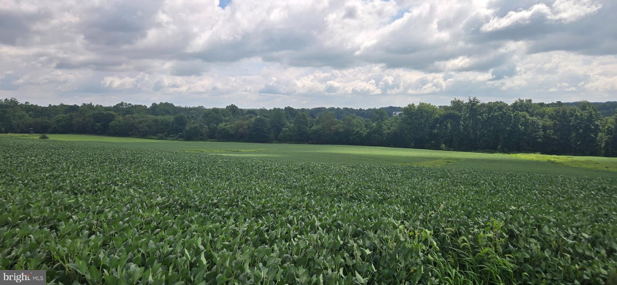 Lot 1 OLD HARRISBURG ROAD