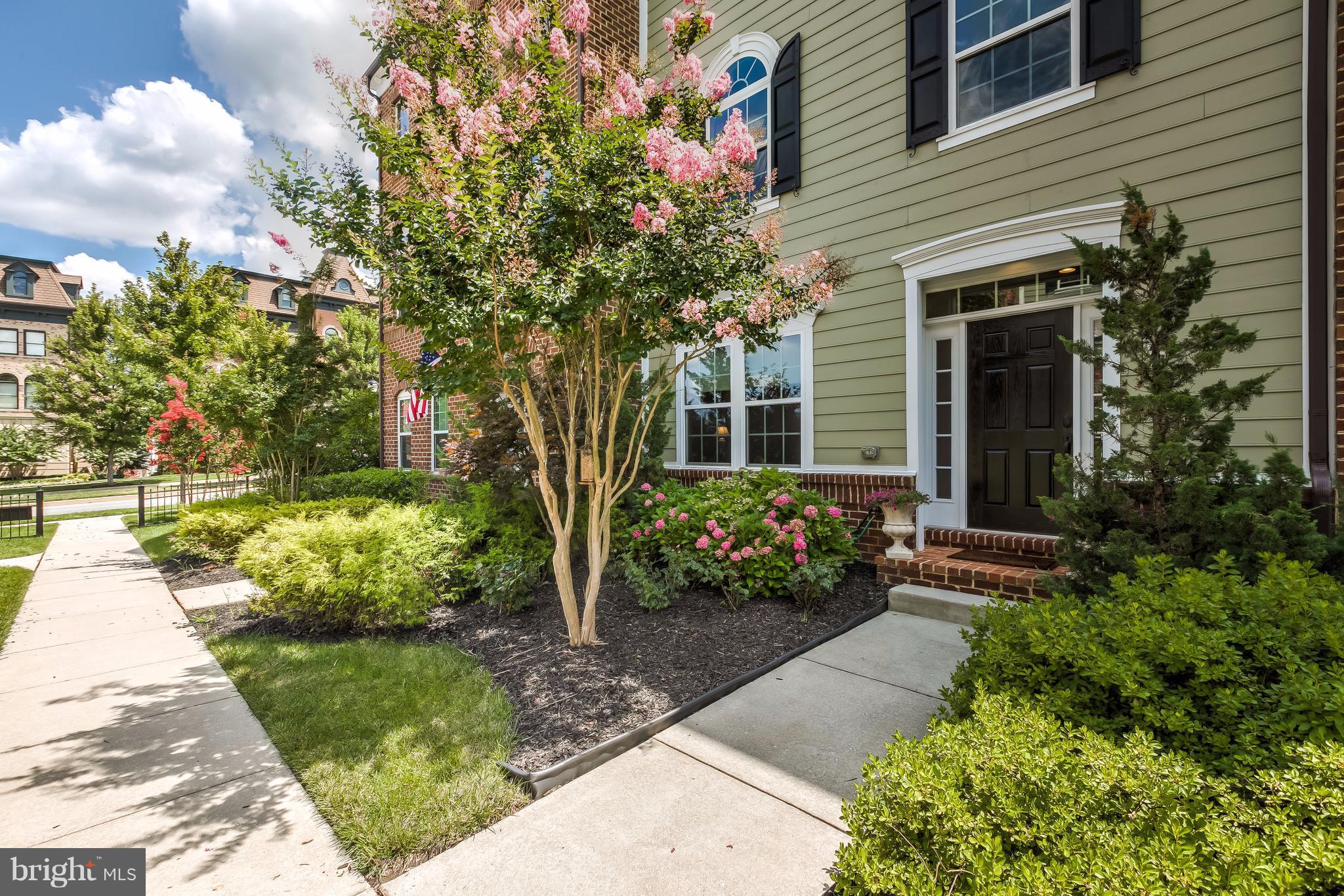 MAPLE LAWN - Residential