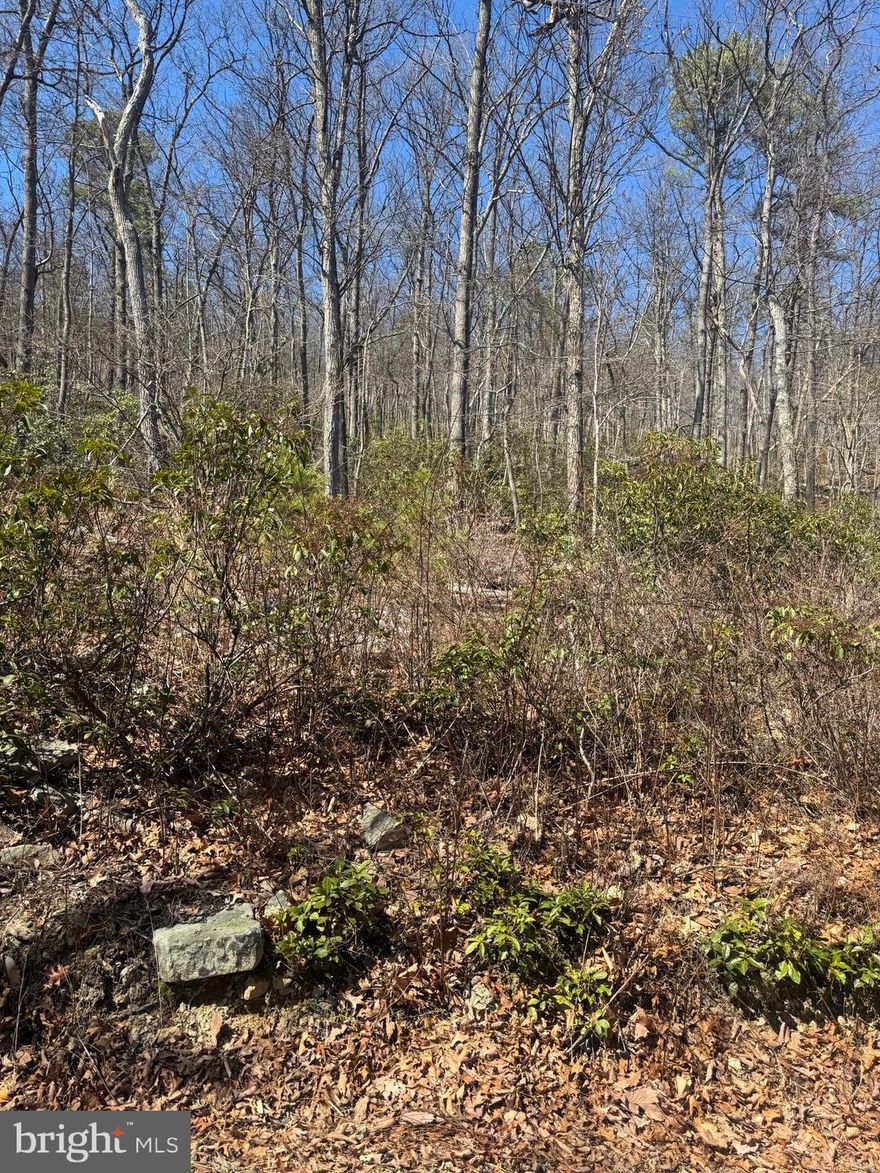 Vacant lot on Fox Trail in Wilde Acres!  This is raw land, no perc test has been done. Affordable and at the top, for lots of views of North Mountain.  Private - not many homes around this lot.   Sign on Property