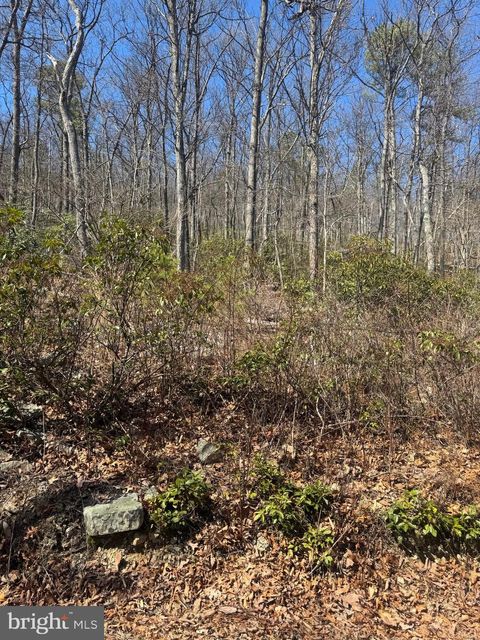 Vacant Land For Sale - Fox Trail<br/> Frederick County, WINCHESTER, VA 22602