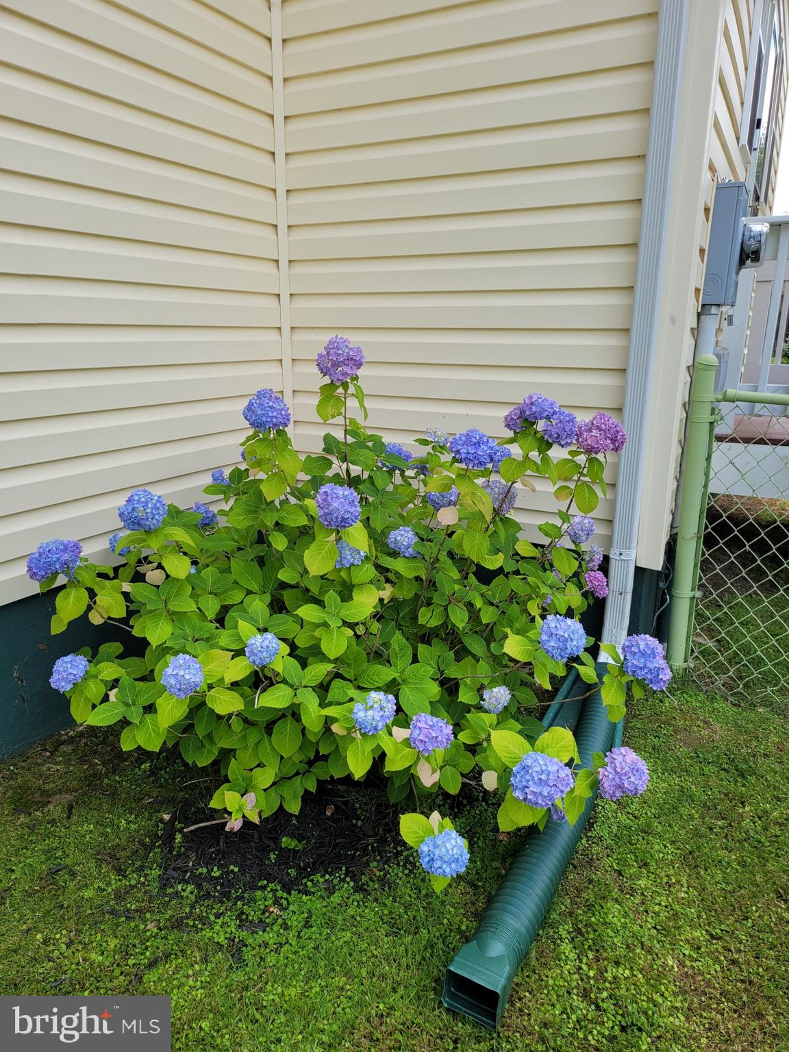 THE POINT - Residential