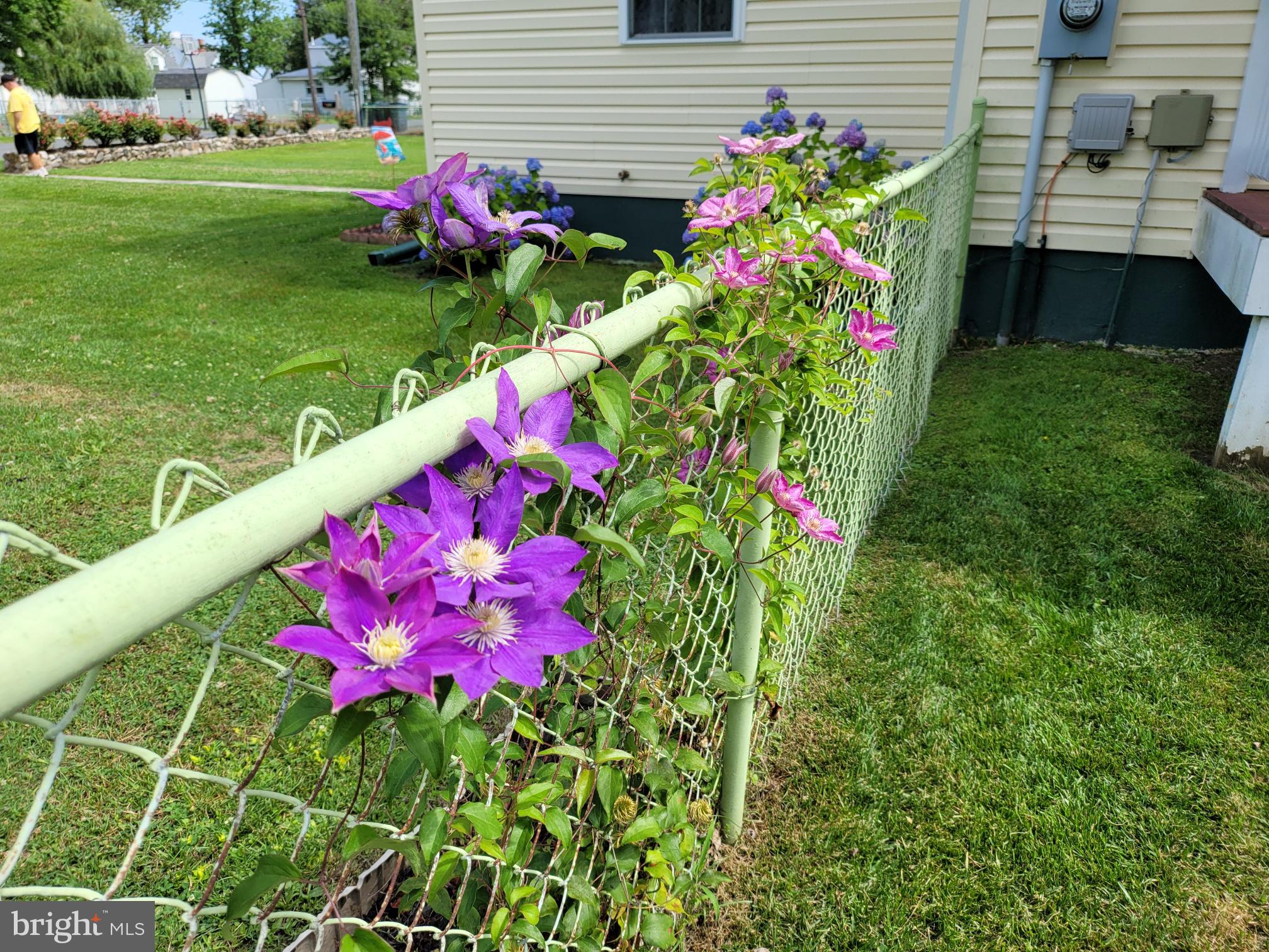 THE POINT - Residential