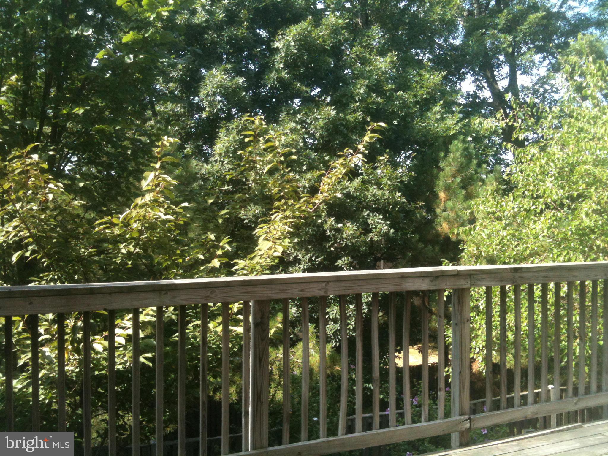 COMPTON VILLAGE - Residential Lease