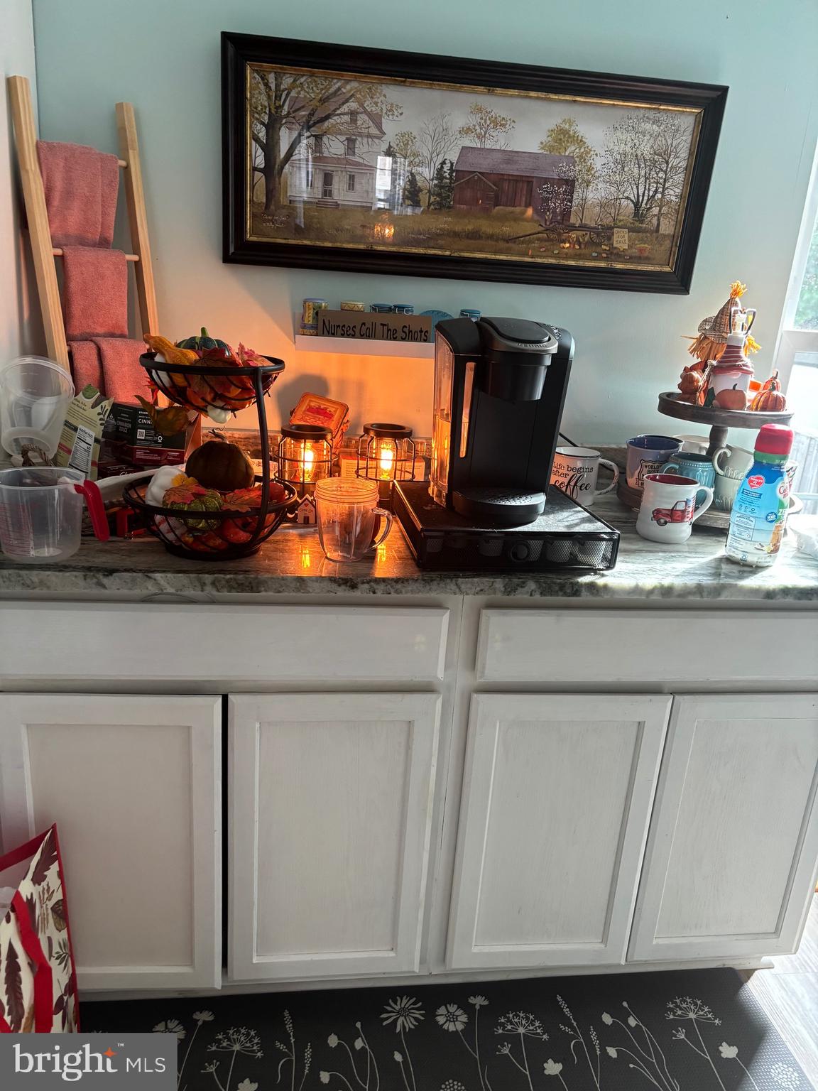 VILLAGE OF THOMAS RUN - Residential