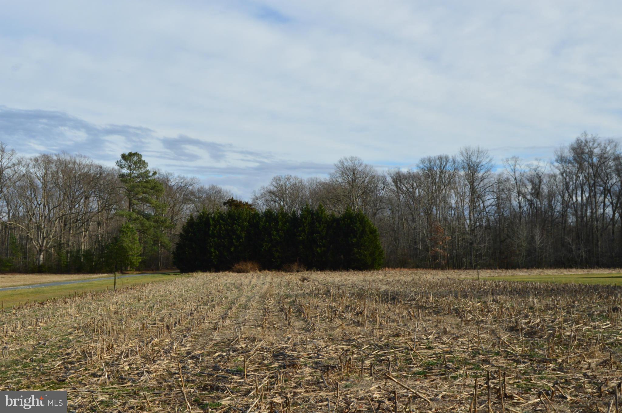 NONE AVAILABLE - Land