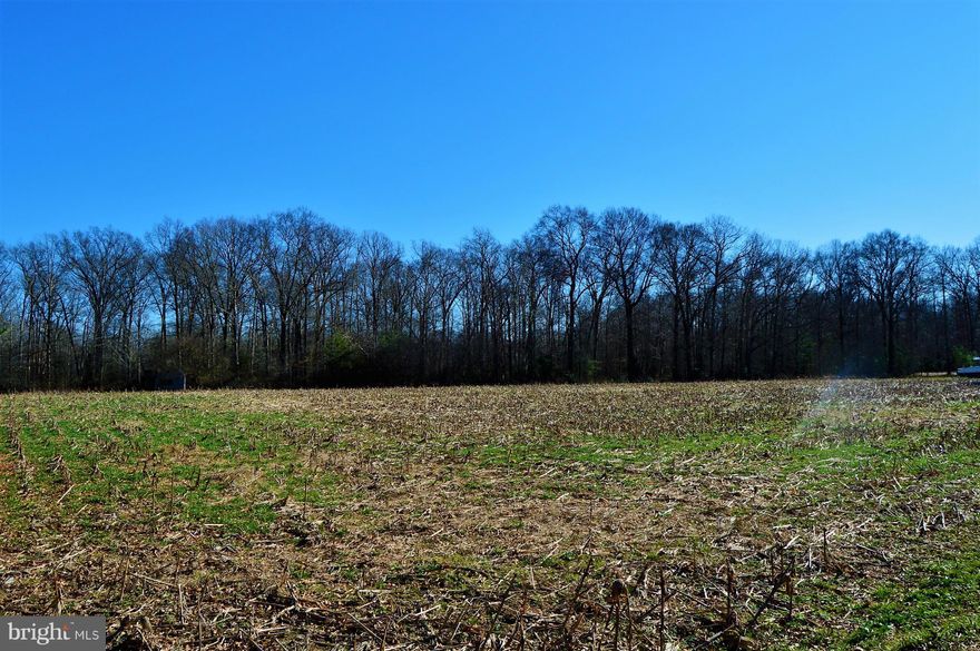 Country Living....7+ Beautiful Pastoral Acres(some woods), No Builder Tie-in. Not many large lots left in Centreville. Horses, Tree Farm, Vineyard, Your dream...Your choice!  Motivated Seller