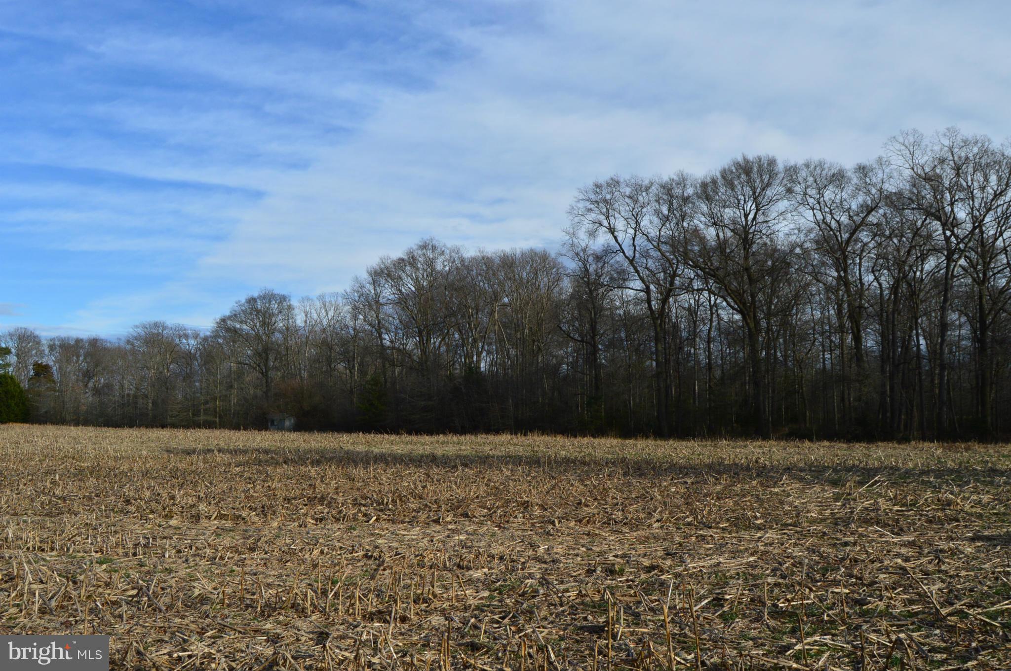 NONE AVAILABLE - Land