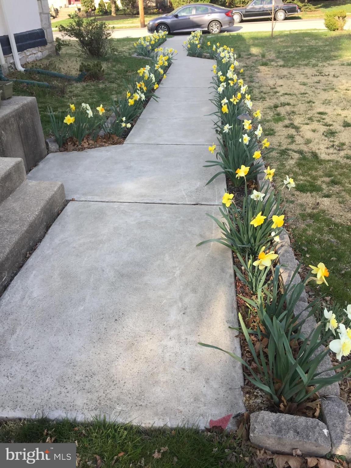 DREXEL PARK - Residential