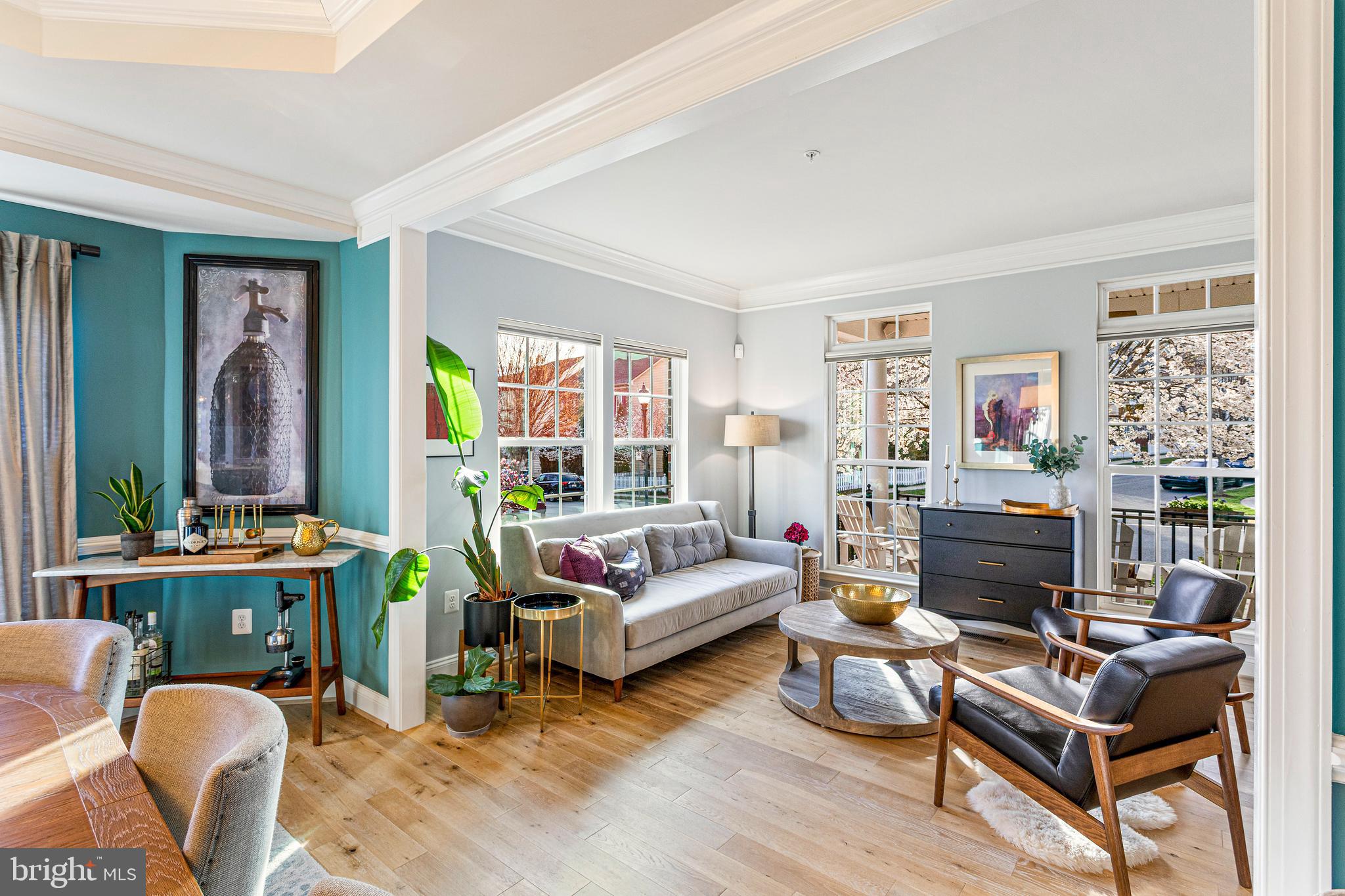 CLARKSBURG VILLAGE - Residential