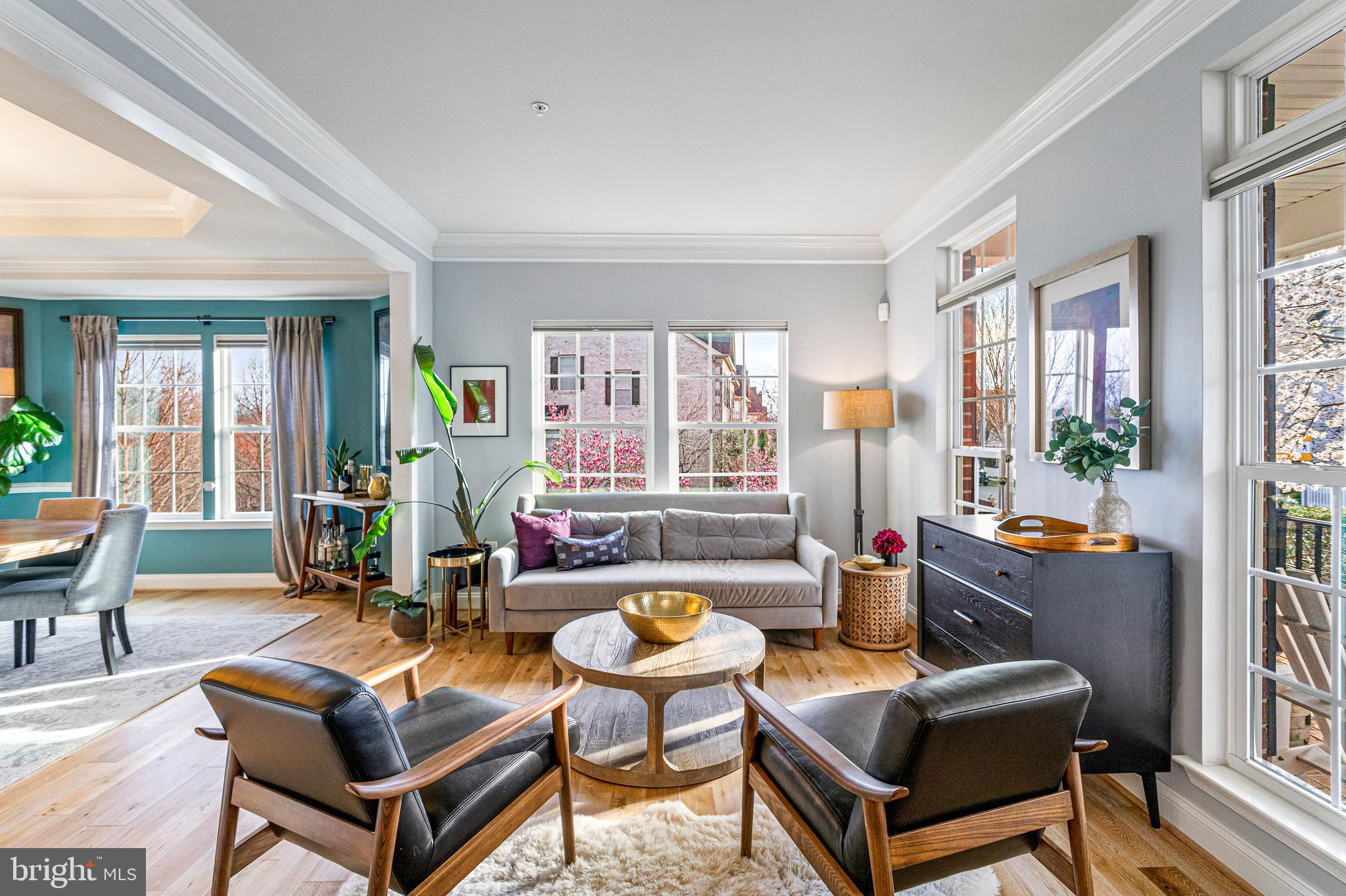 CLARKSBURG VILLAGE - Residential