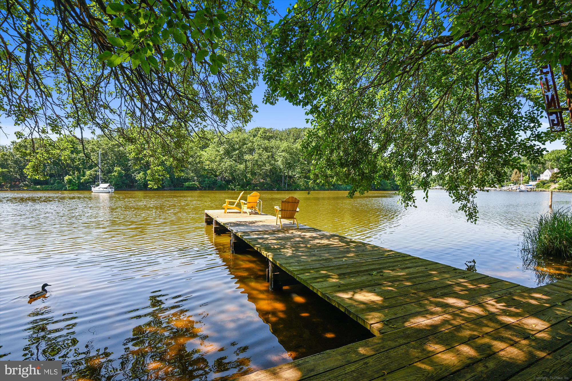 MURRAY HILL - Residential