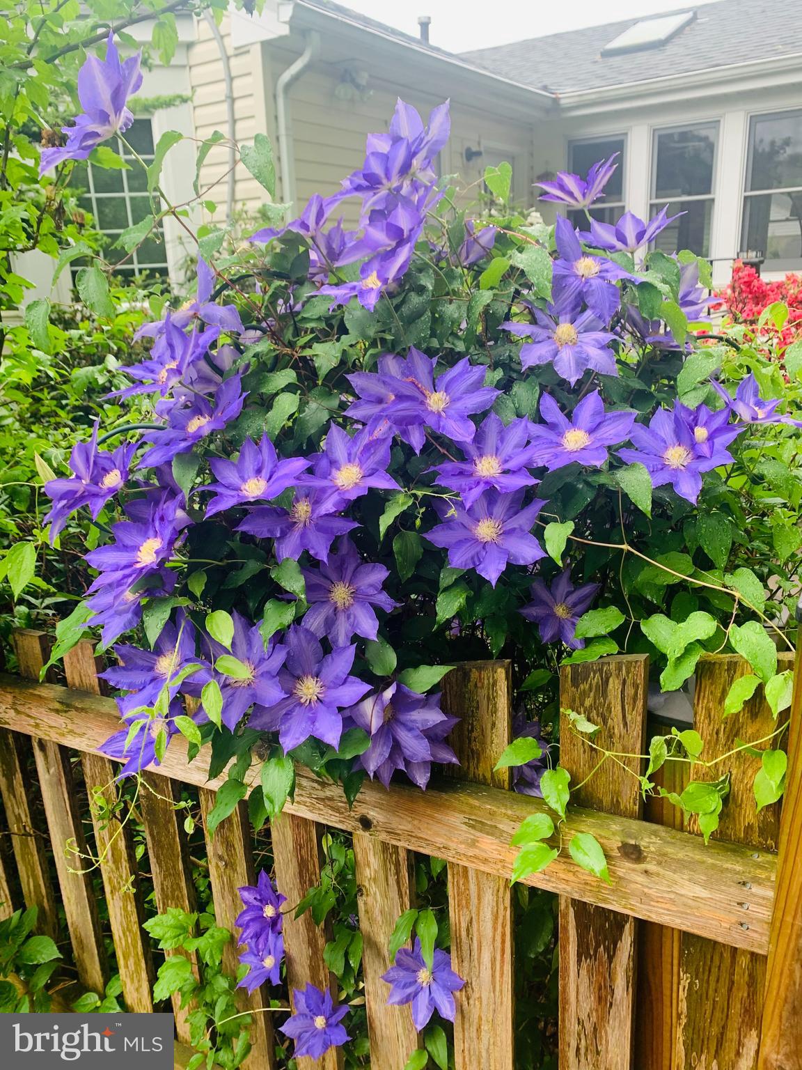 WAKEFIELD CHAPEL ESTATES - Residential