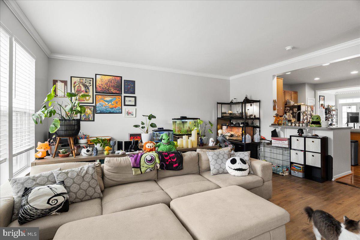 WINDMILL CROSSING - Residential