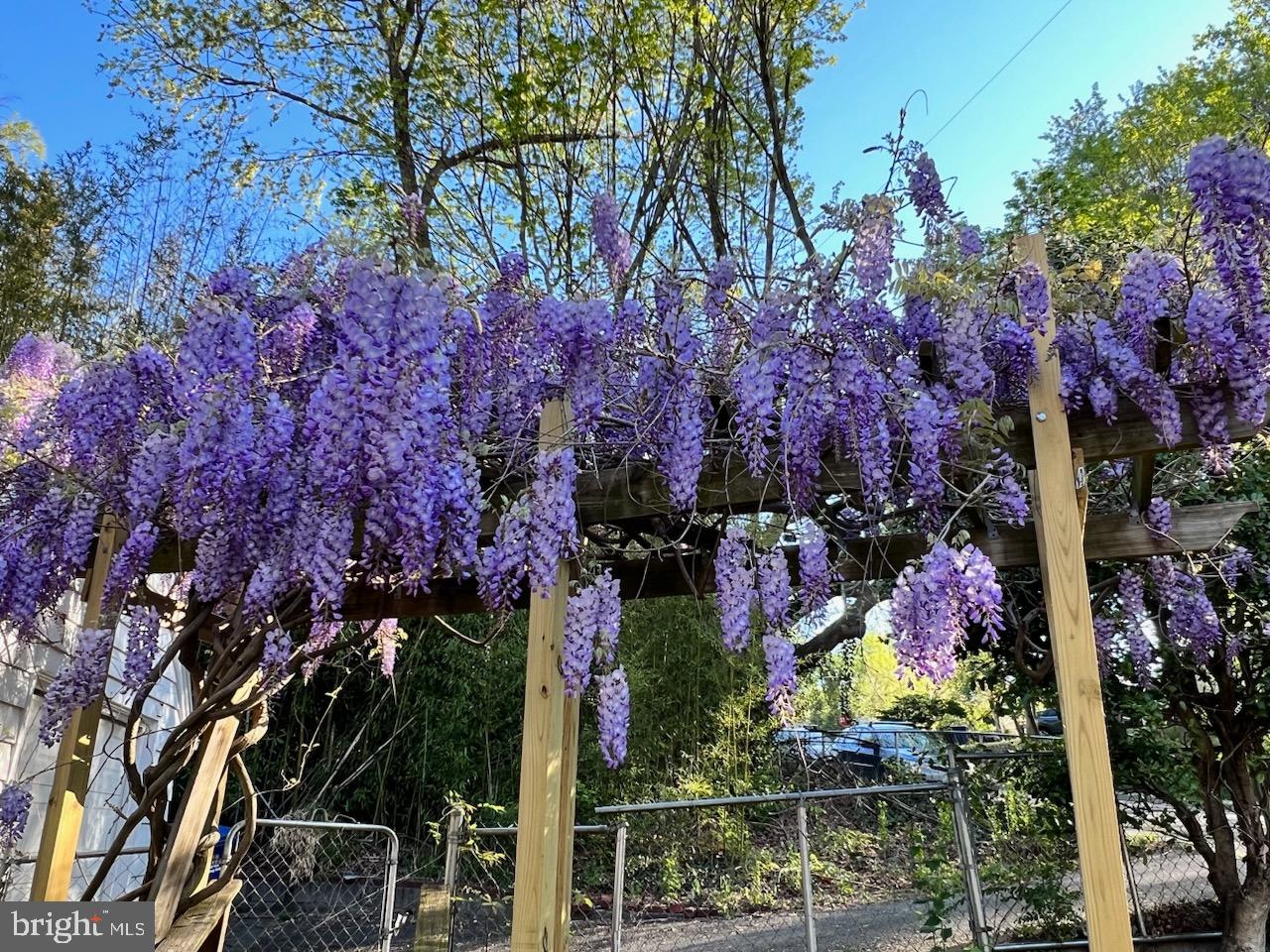 JEFFERSON MANOR - Residential Lease