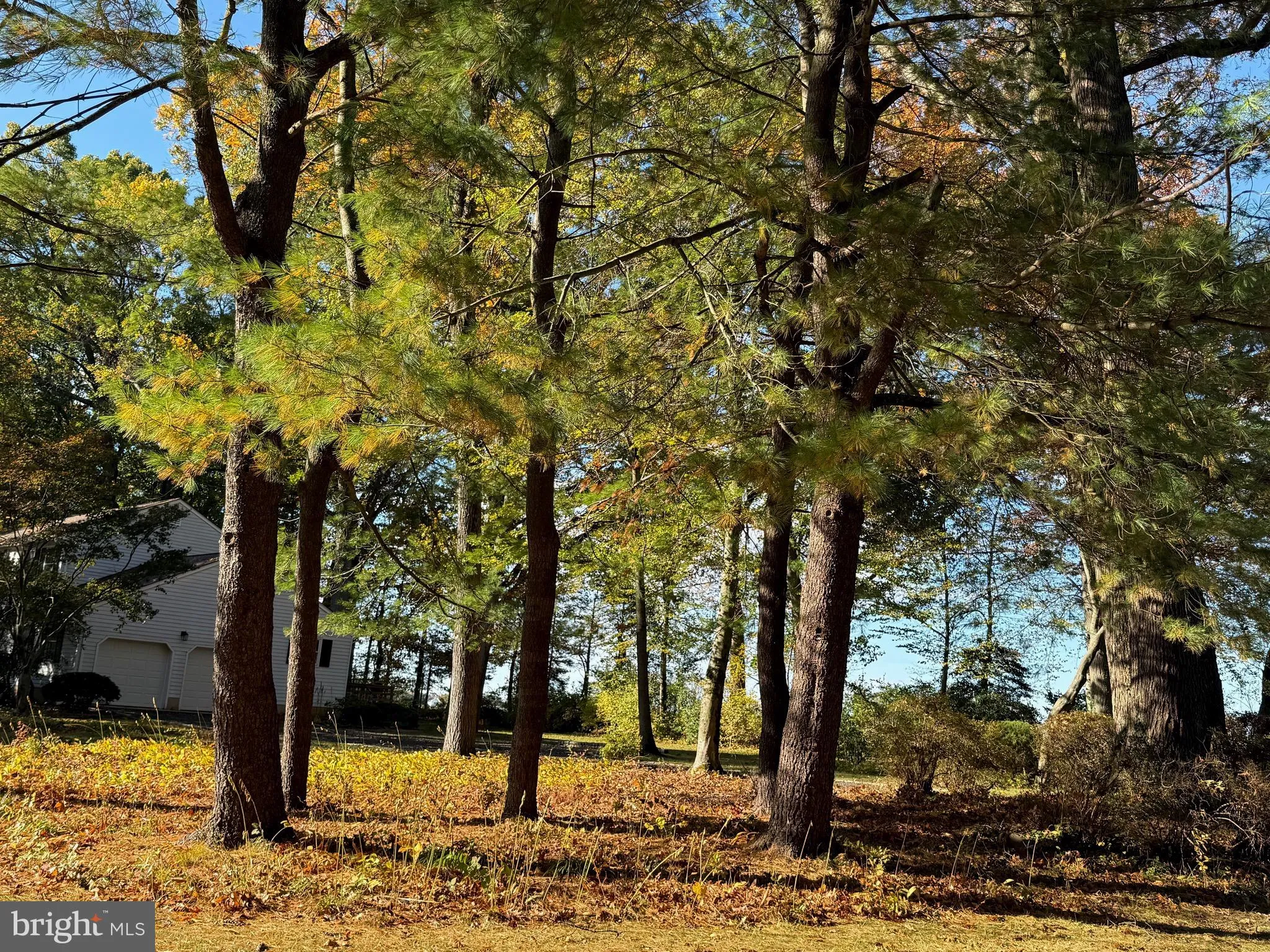 Plainsboro, New Jersey 08536, United States, 4 Bedrooms Bedrooms, ,3 BathroomsBathrooms,Residential,Coming Soon,232040