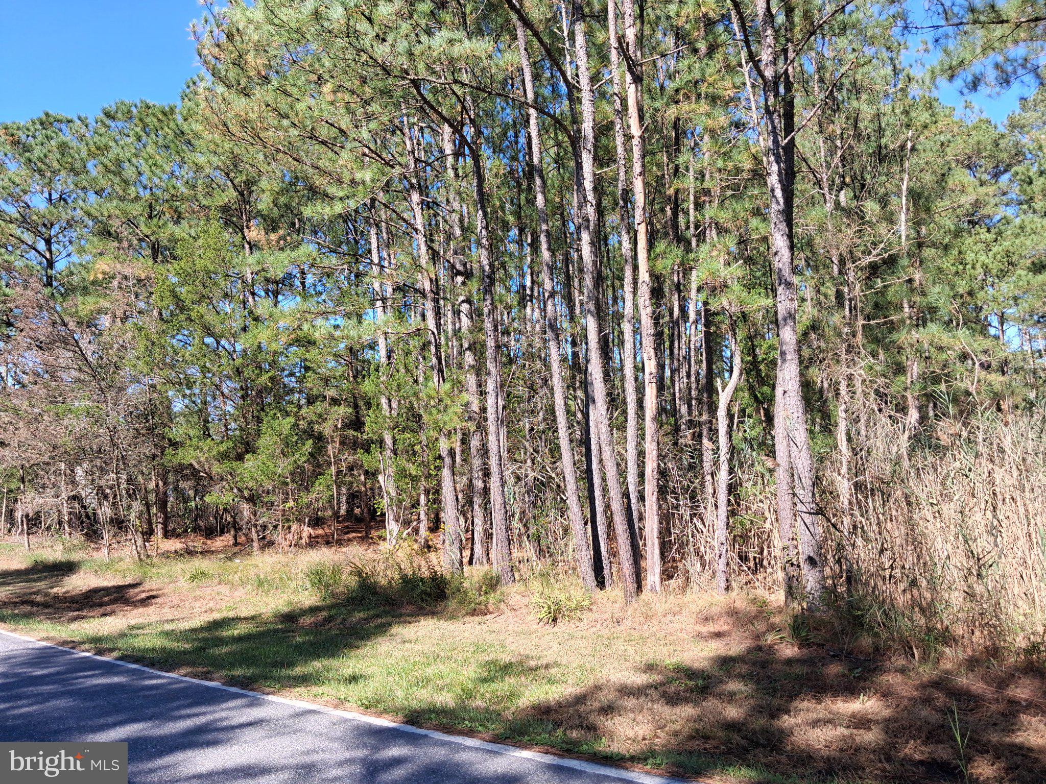 27360 ORIOLE ROAD