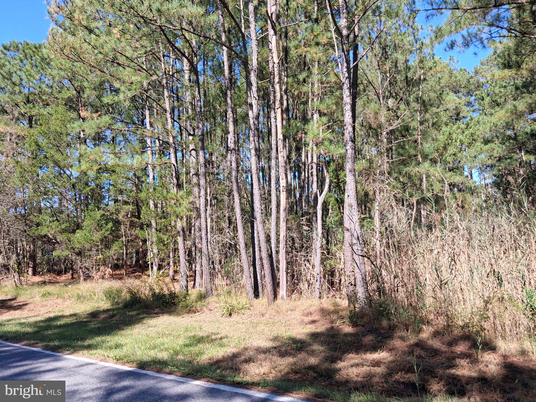 27360 ORIOLE ROAD