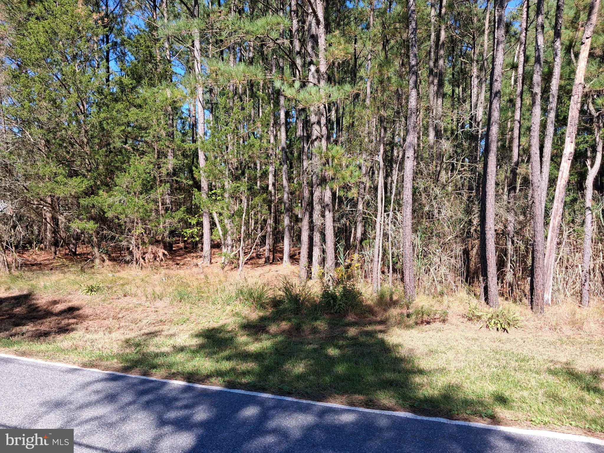 27360 Oriole Road