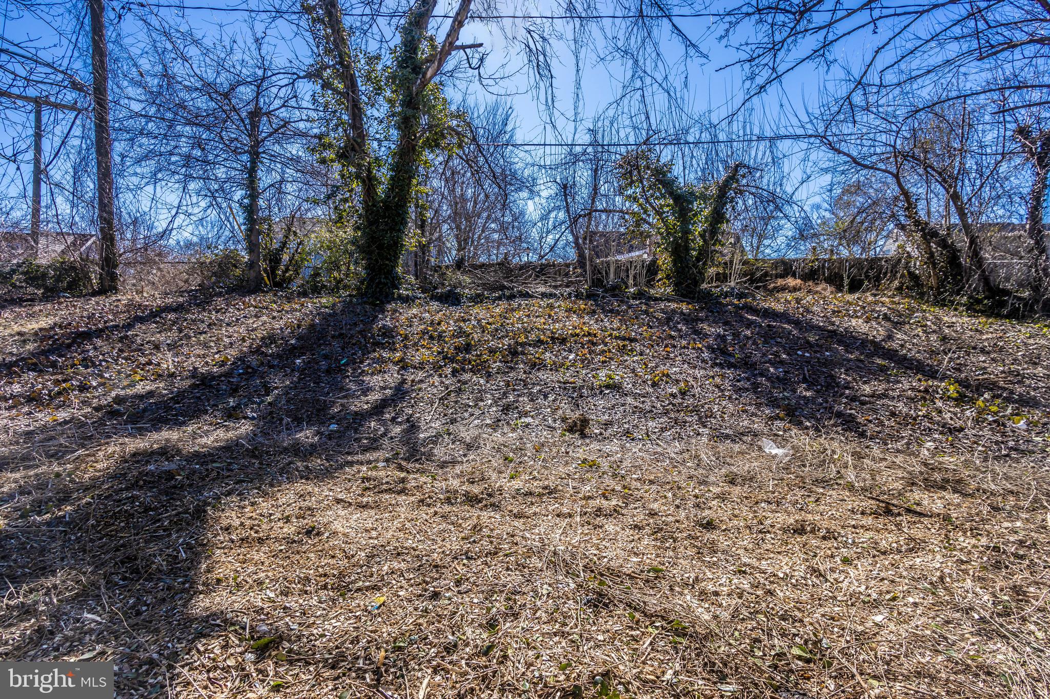 SOMERSET AT BELAIR - Residential