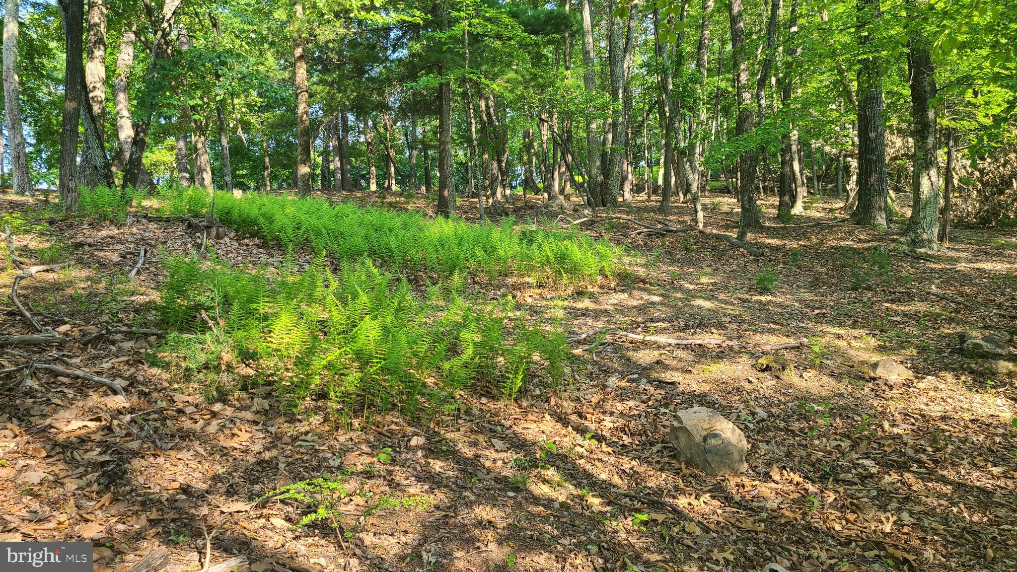 BUCK RIDGES (FORMERLY TREASURE MOUNTAINS) - Residential